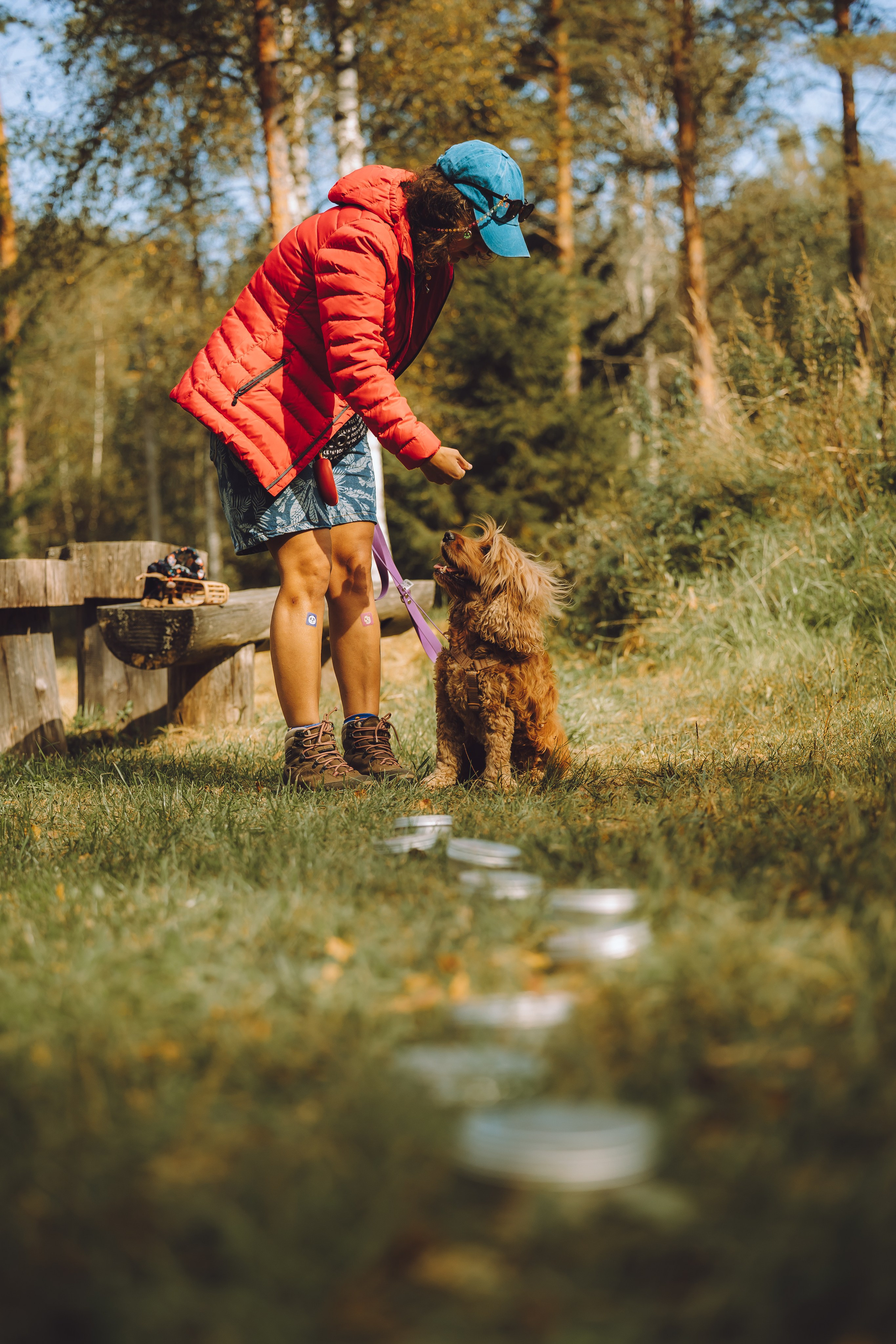 Выездной дог-тренинг от школы «Шерсть имею», Тованово