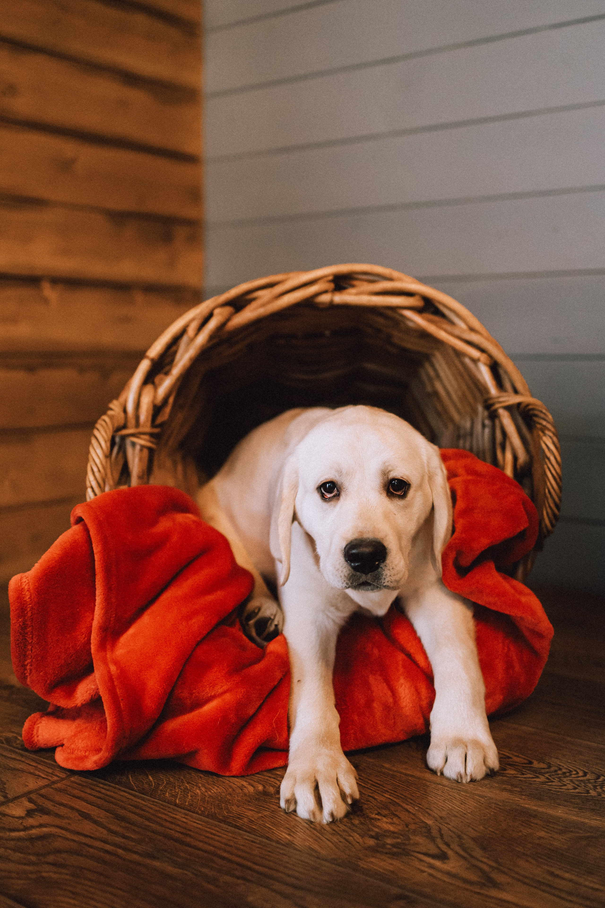 Ума, Берта и их семья