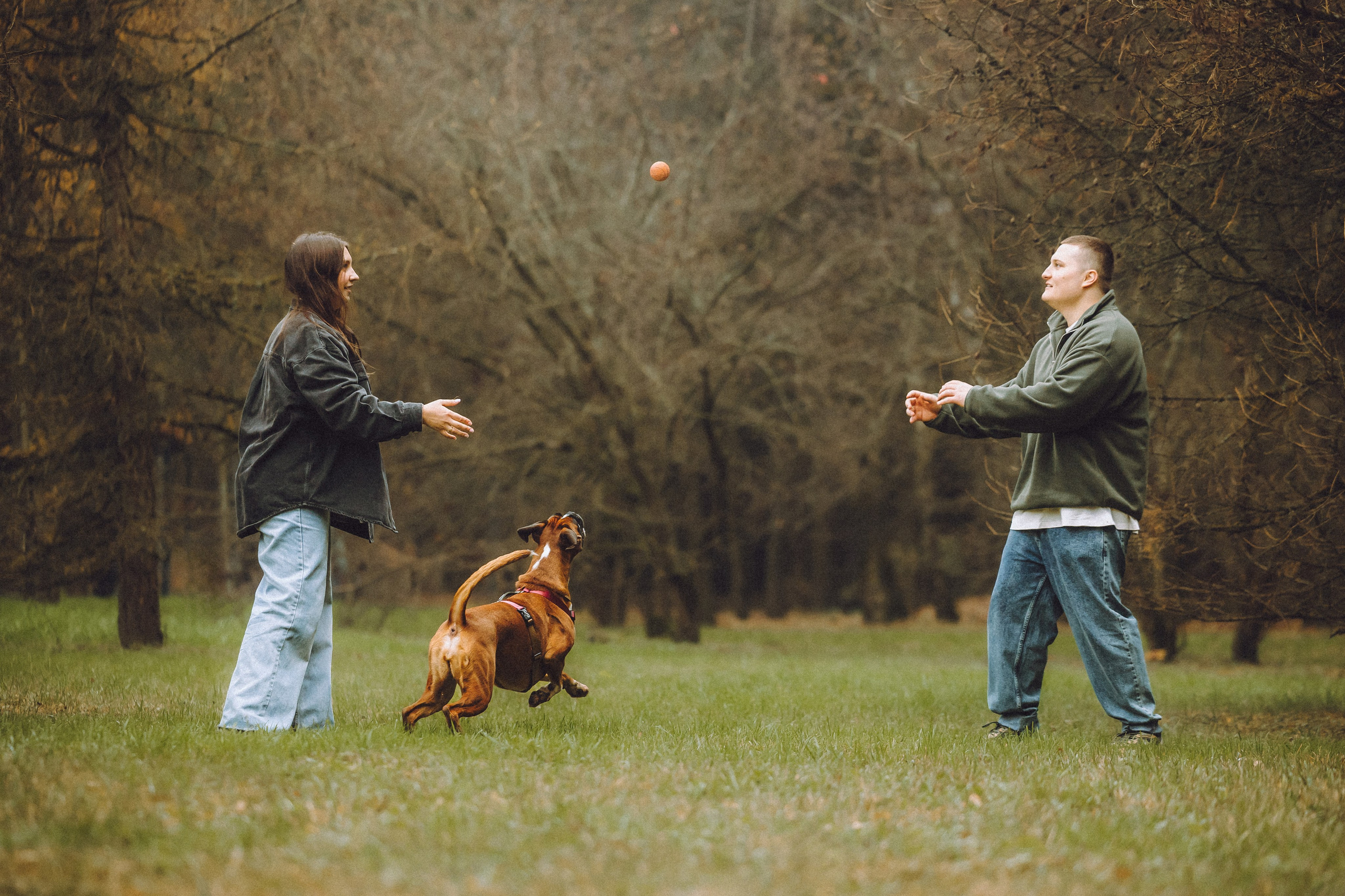 Элли и ее семья