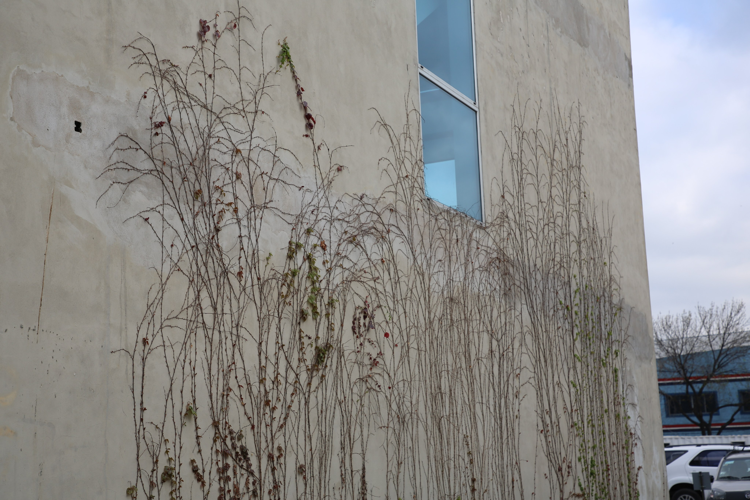 Buenos Aires, Argentina. Andrey Filippov Photographer