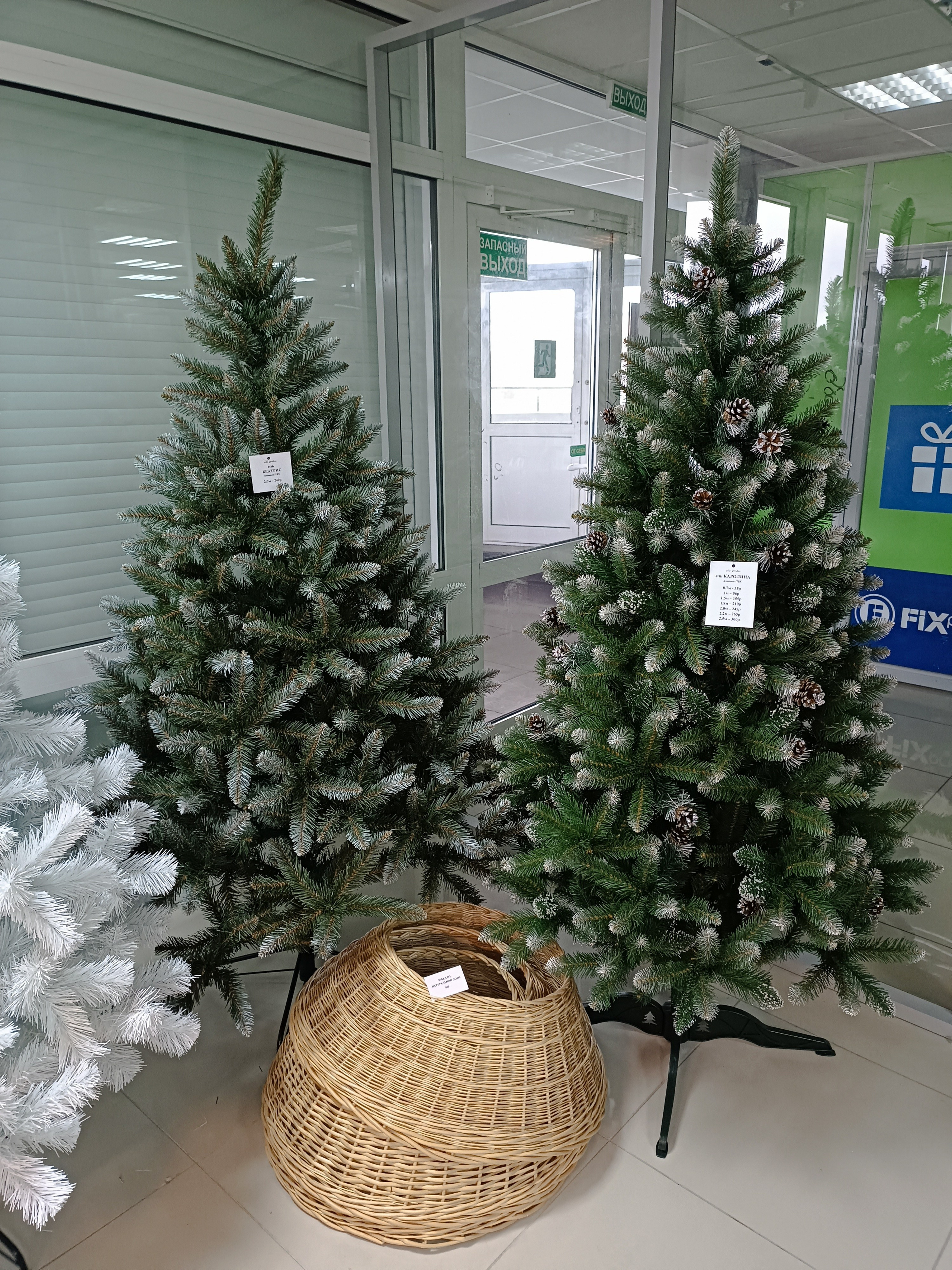 БЕАТРИС. Elki_grodno