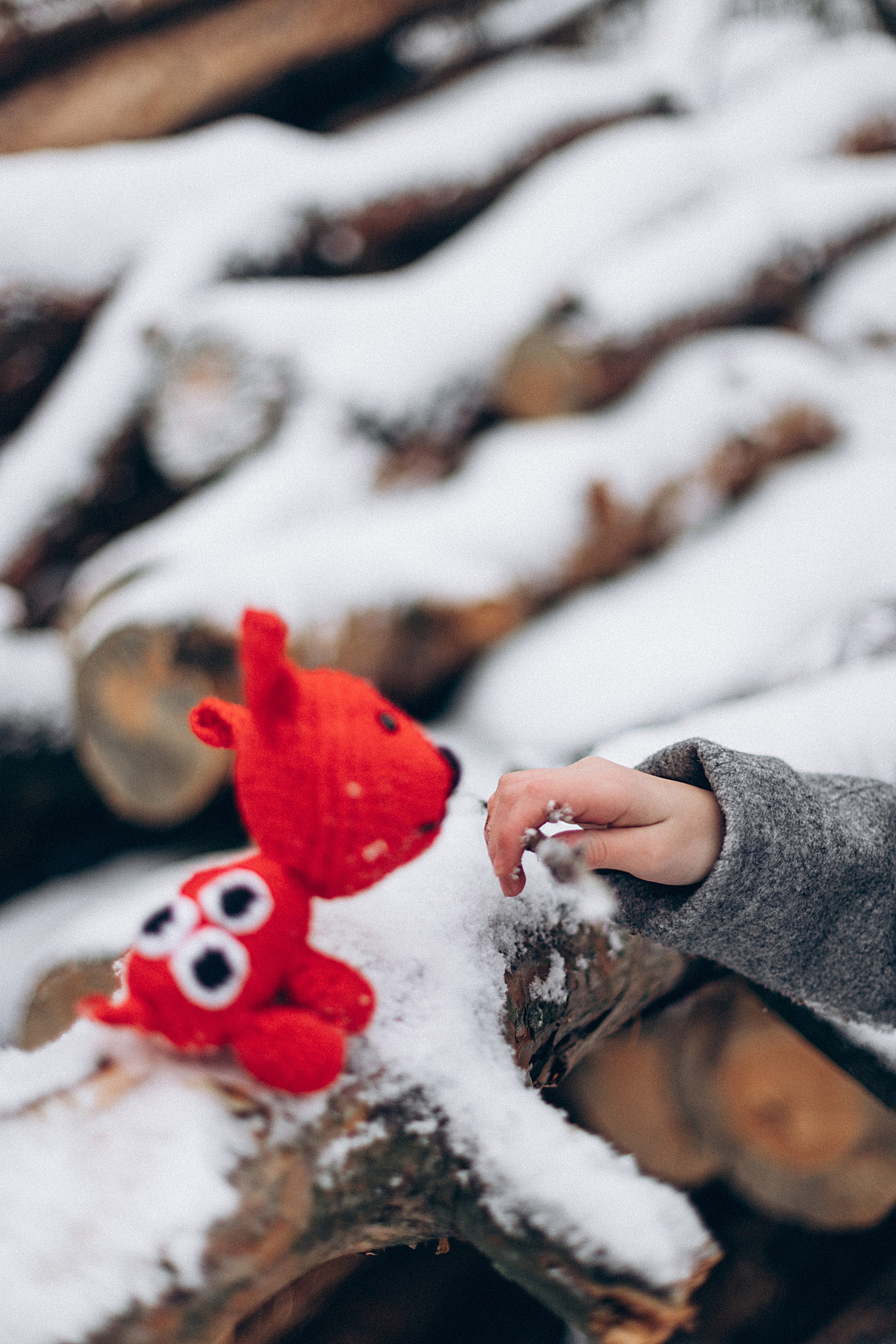 Варежка. Репортажный и детский фотограф в Минске