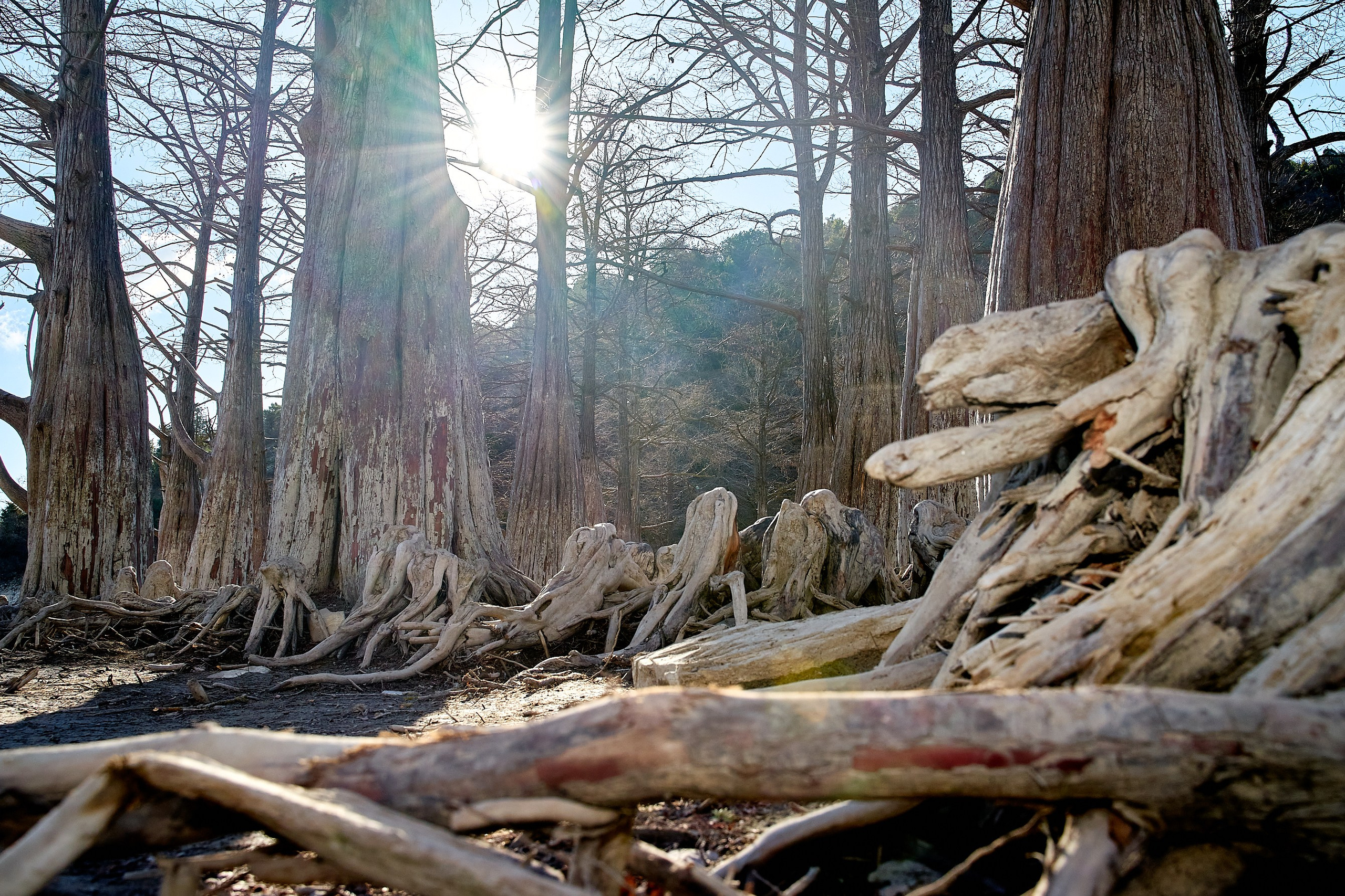 Фото- видео- съемка. Краснодар, Краснодарский край, Крым. Петр Ступень. Свадебное, семейное фото и видео. Москва. Краснодар