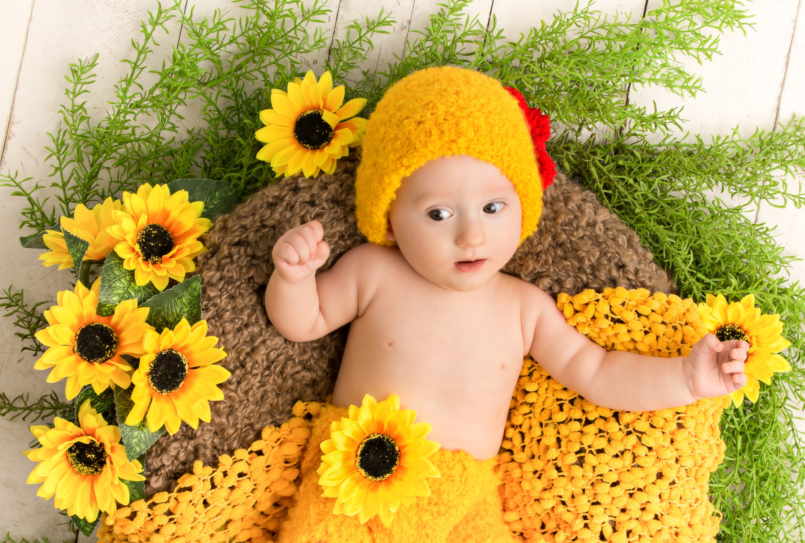 Семейная съемка с новорожденным. Зал Люмен. Фотосессия беременности — Крылова Натали — Москва