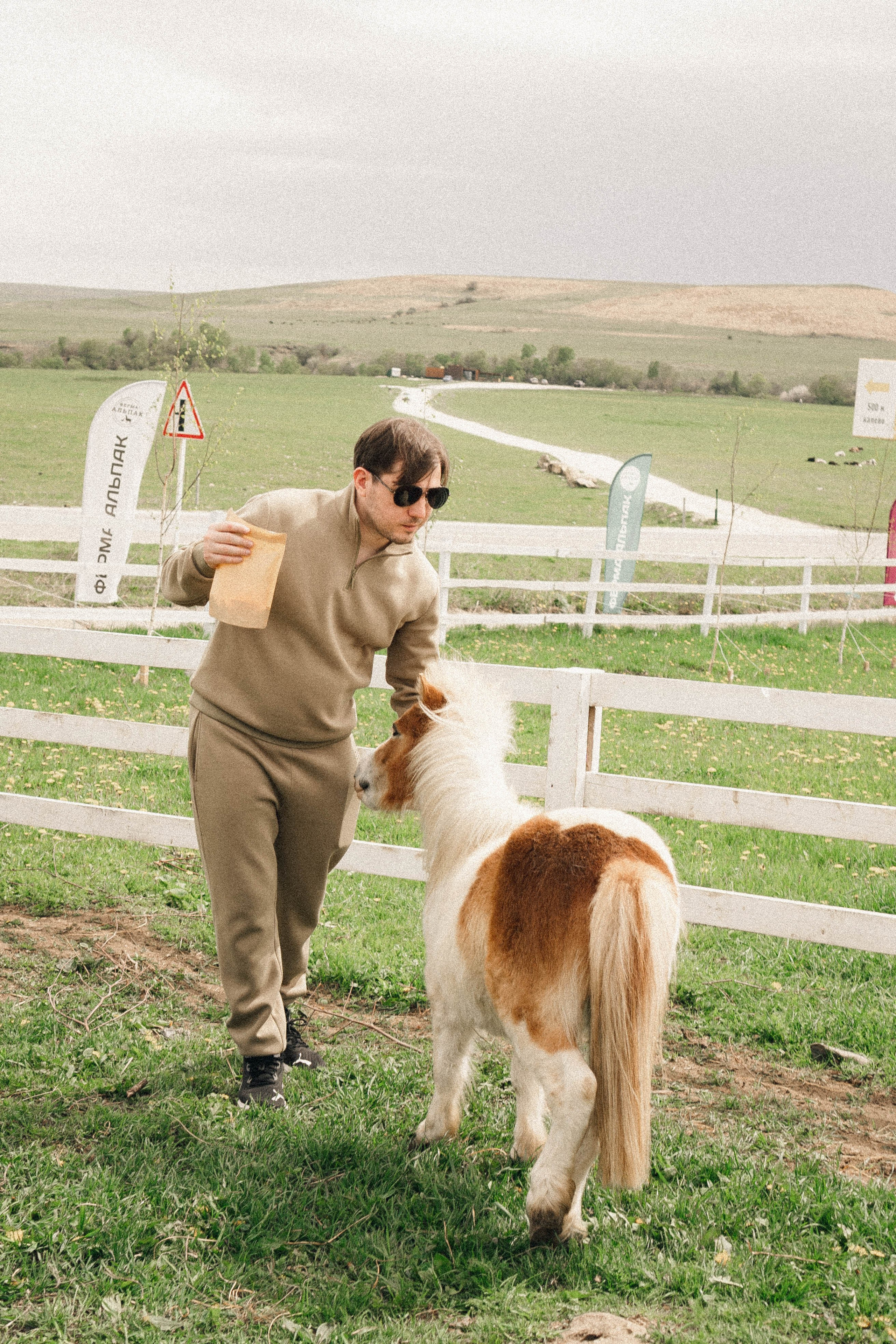 Ферма Альпак. Профессиональный фотограф, Санкт-Петербург — Виктория Богомолова