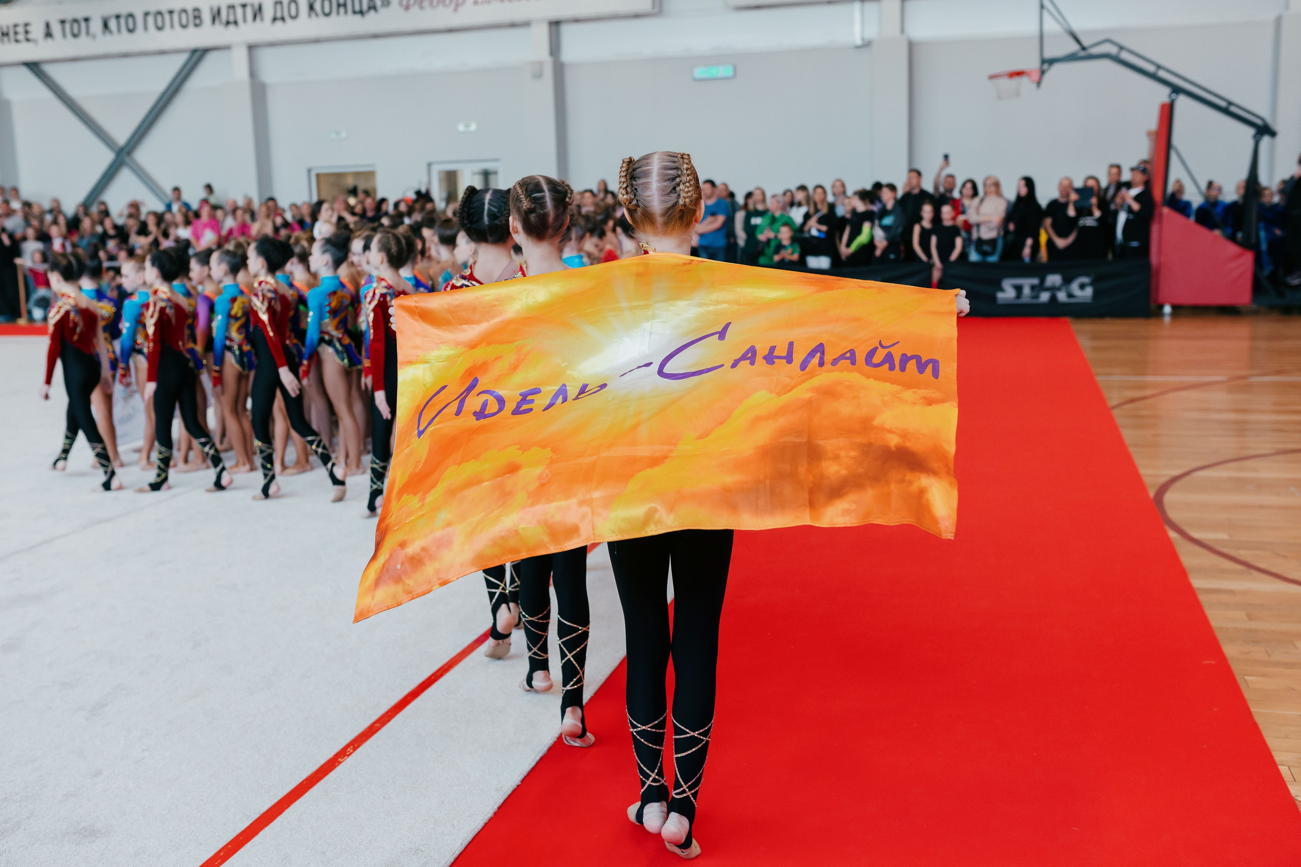 Турнир по эстетической гимнастике «АВАНГАРД» г. Воронеж 20.04.2024. Спортивный фотограф Александр Васильев. RG и AGG