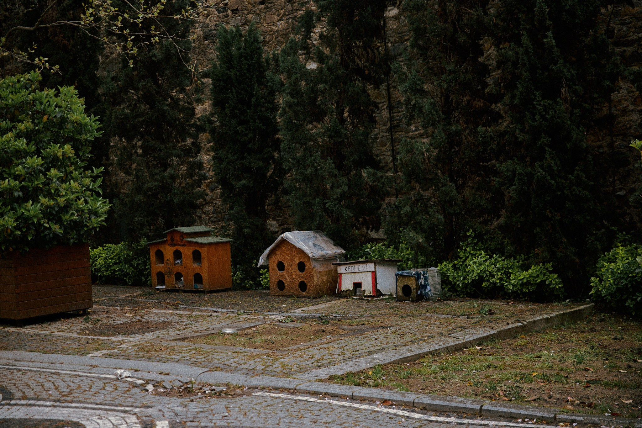 Улица горизонтальная. Jorgis — фотограф в Хургаде / обучение фотографии