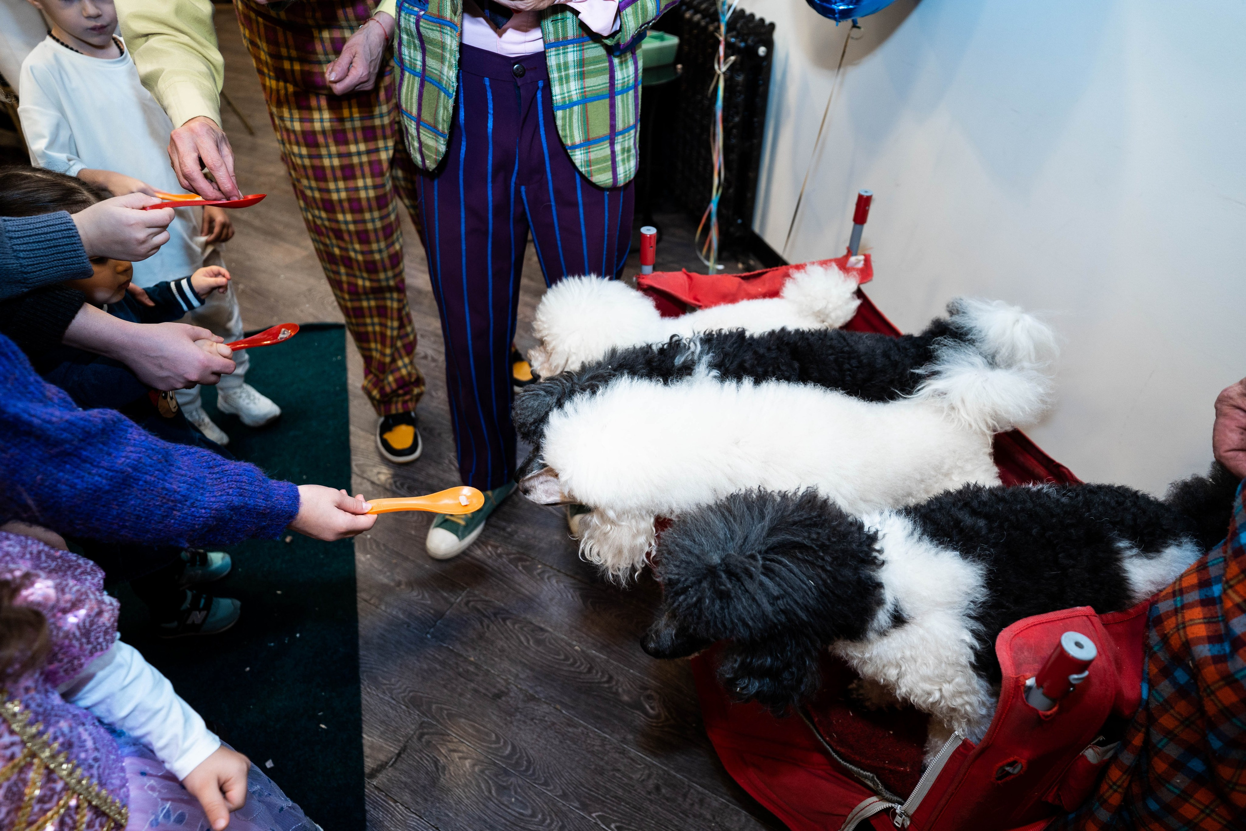 Даниэль h-day. Фотограф Абакумова Анастасия