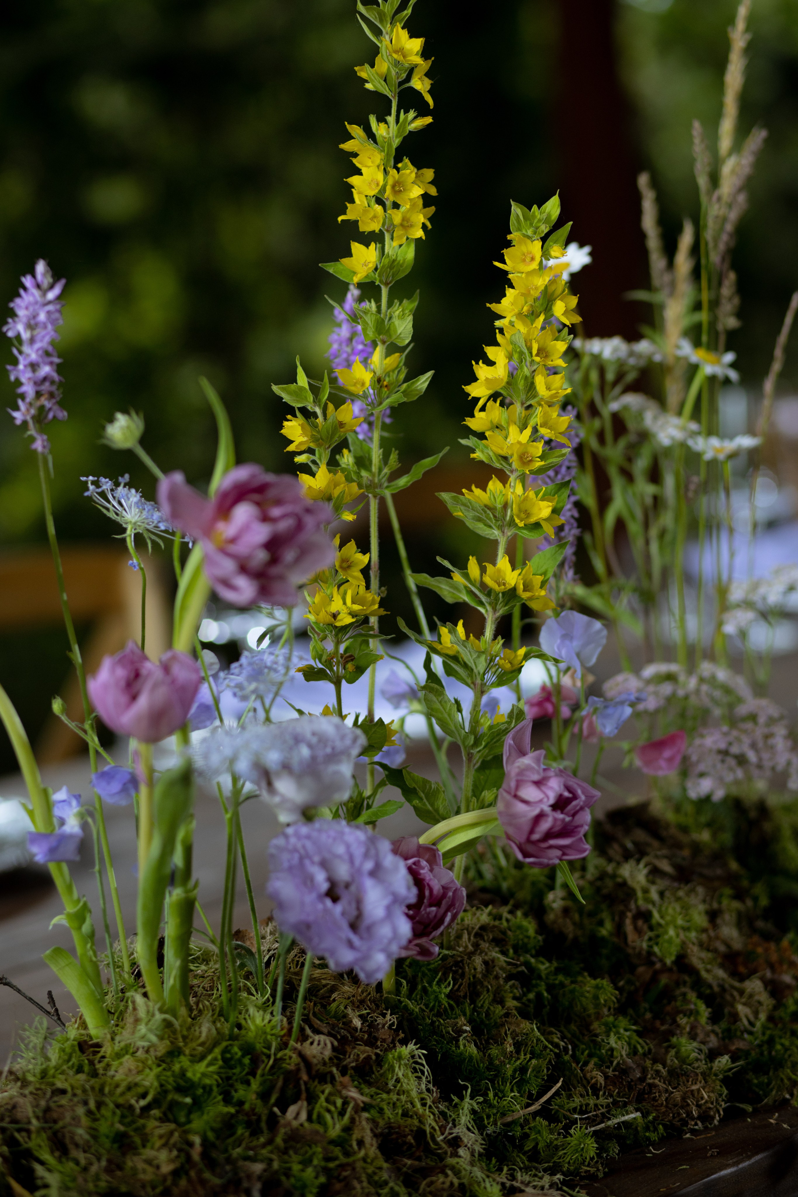 Павел & Полина. Оформление свадеб, декор свадеб Вера Маркова, Москва