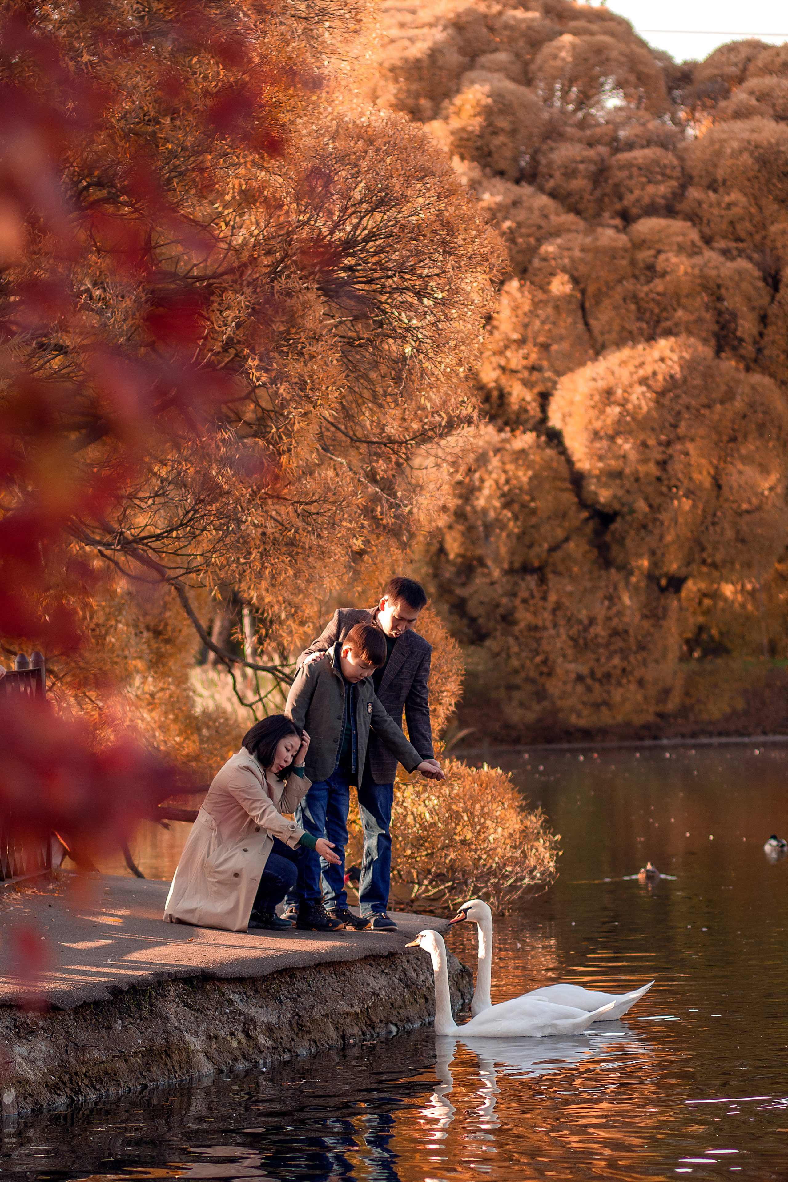 Баира, Зорик и Саша. Осенняя прогулка. Фотограф в Москве. Елизавета Косицына
