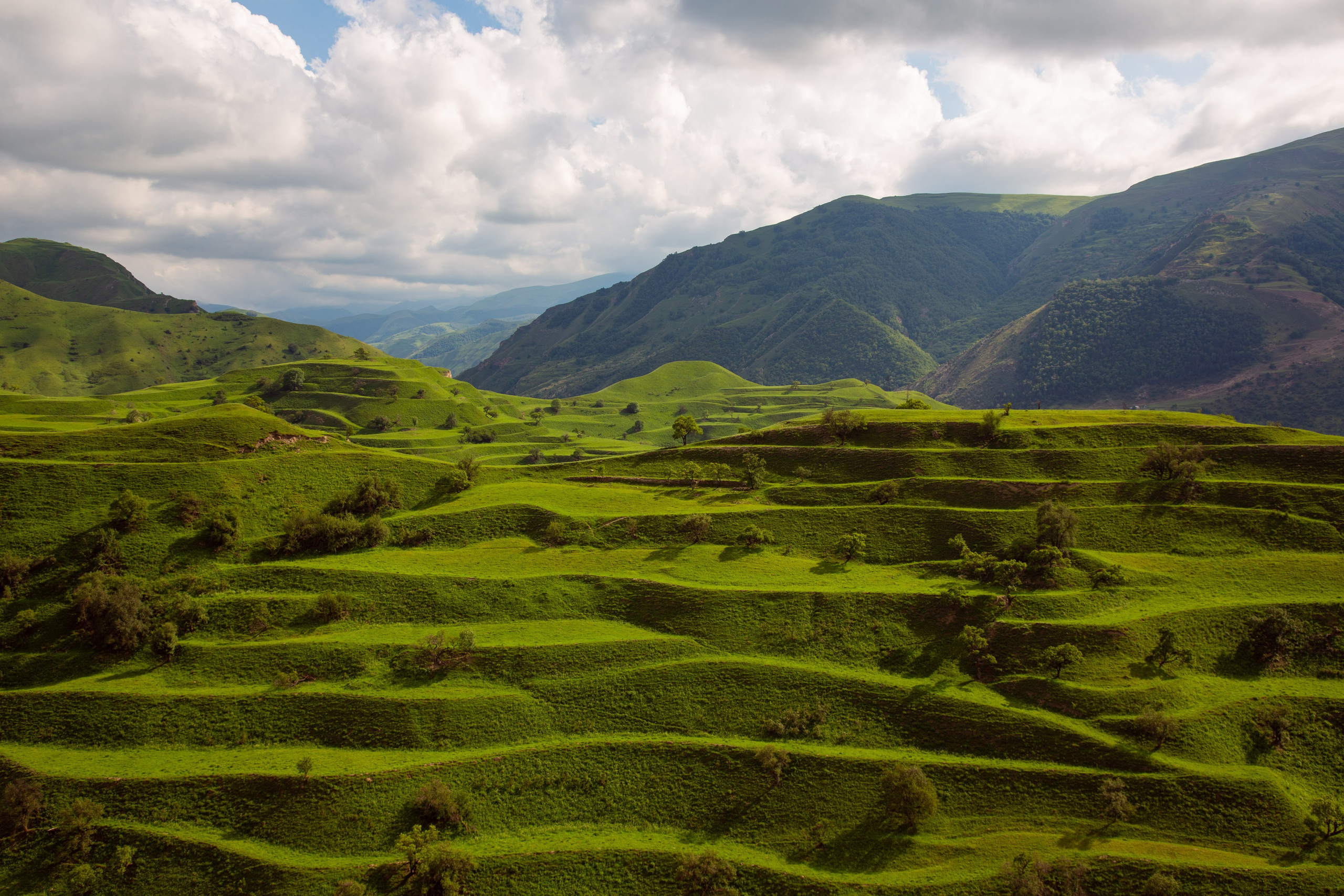 Россия. Дагестан. Добродеева Алла фотограф, Москва
