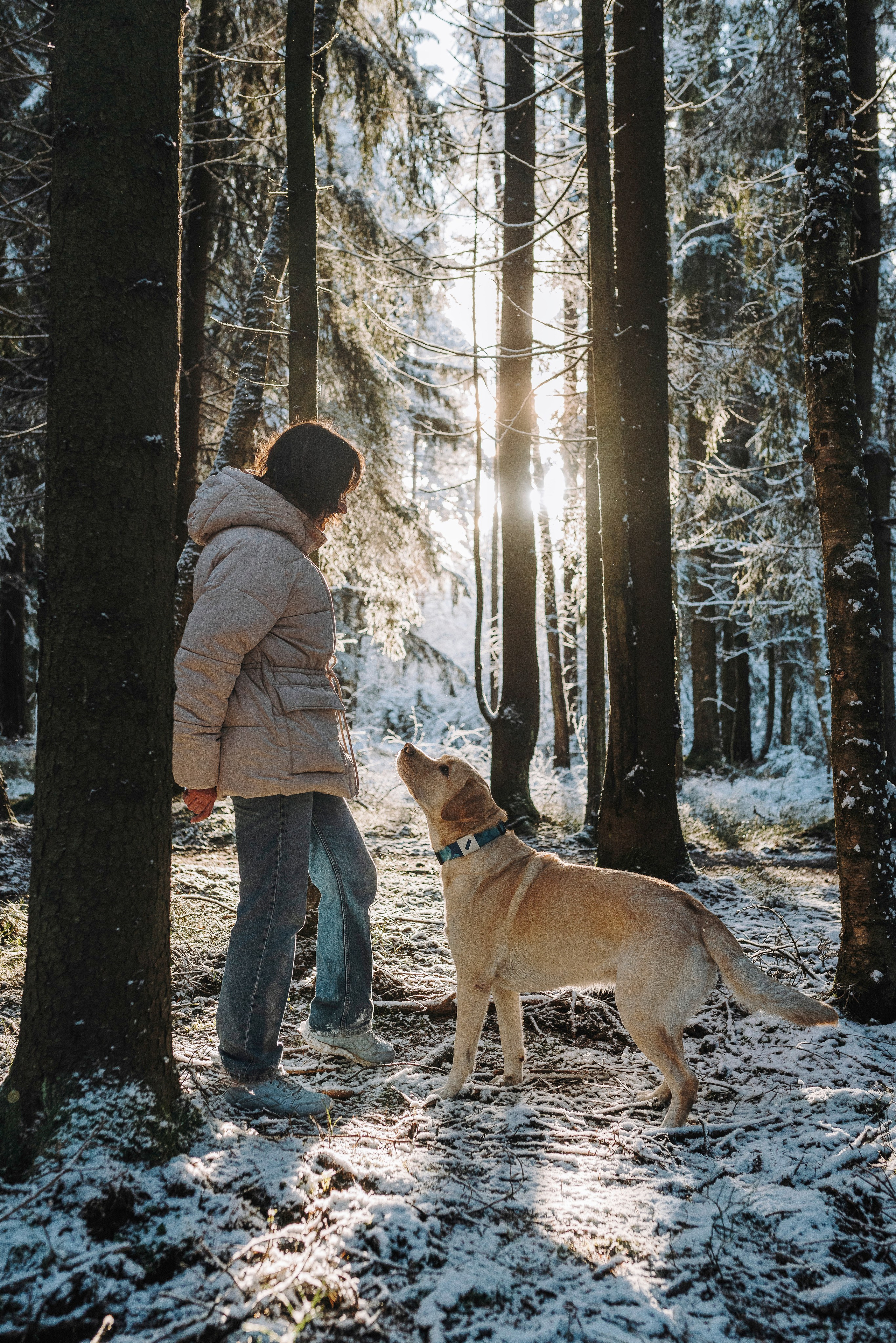 Аня и Честер. Фотограф анималист в Спб недорого Олеся Майорова