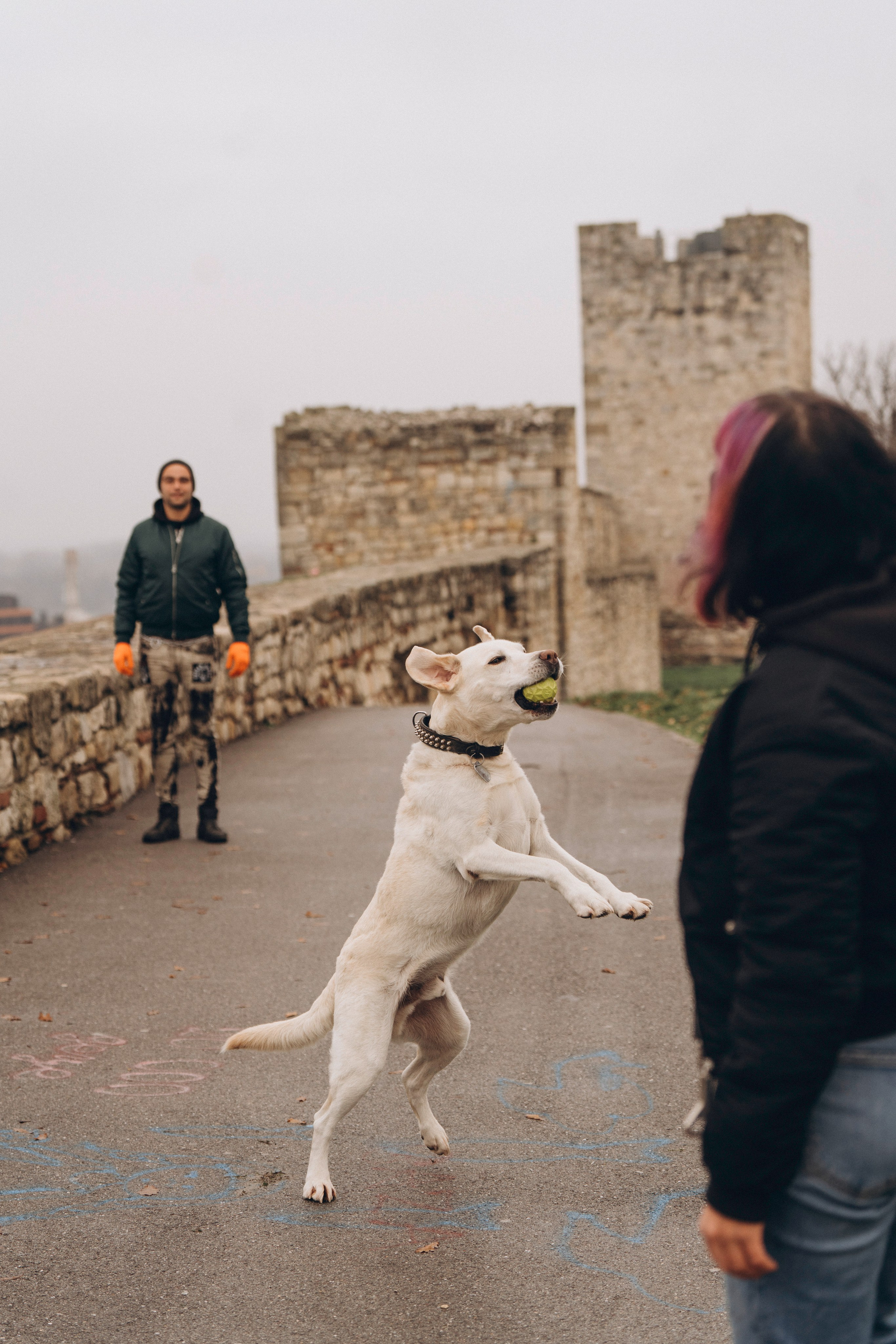 Вати, Лена и Леван. Фотограф анималист в Спб недорого Олеся Майорова