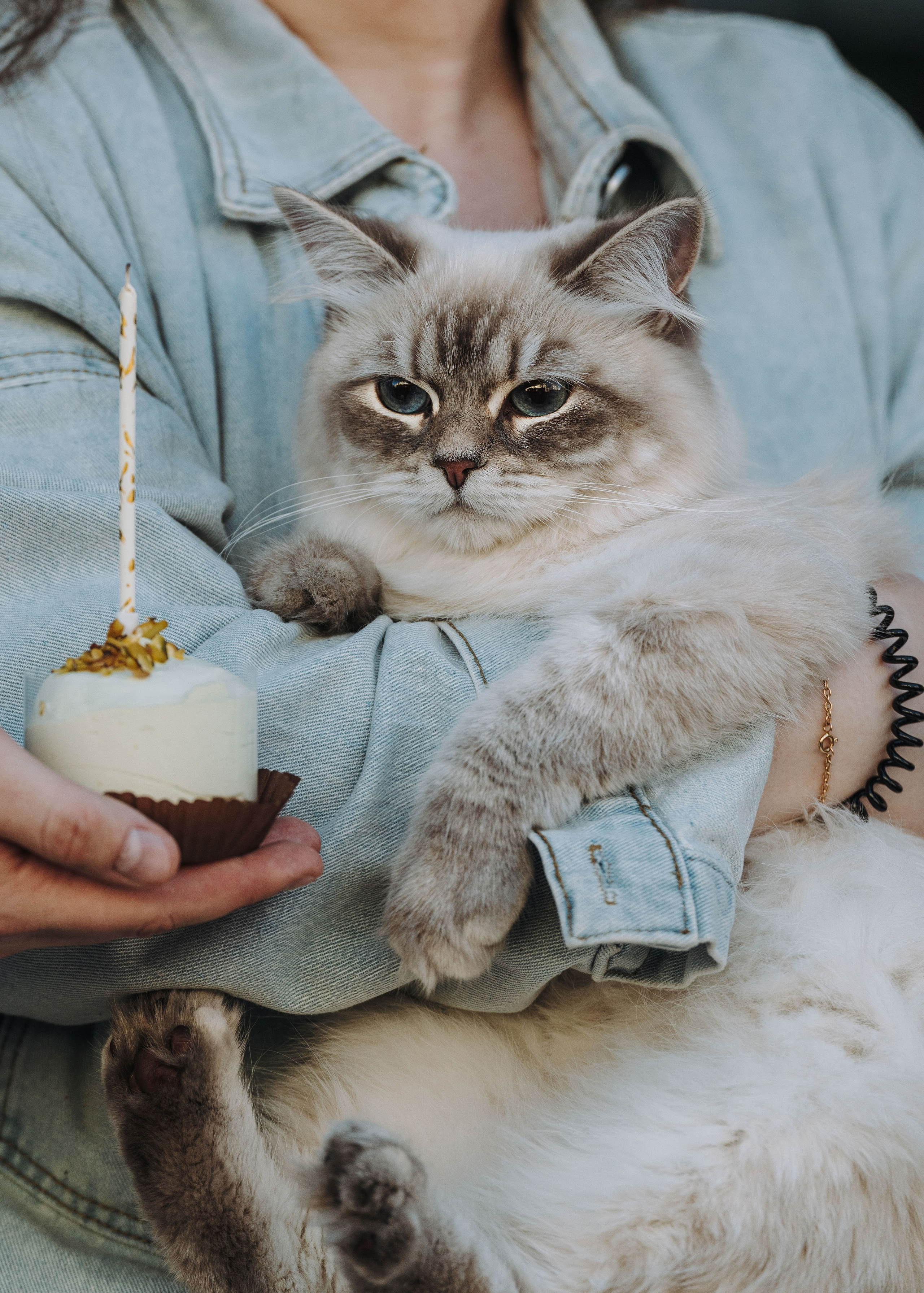 Сильвия, Полина и Никита. Фотограф анималист в Спб недорого Олеся Майорова