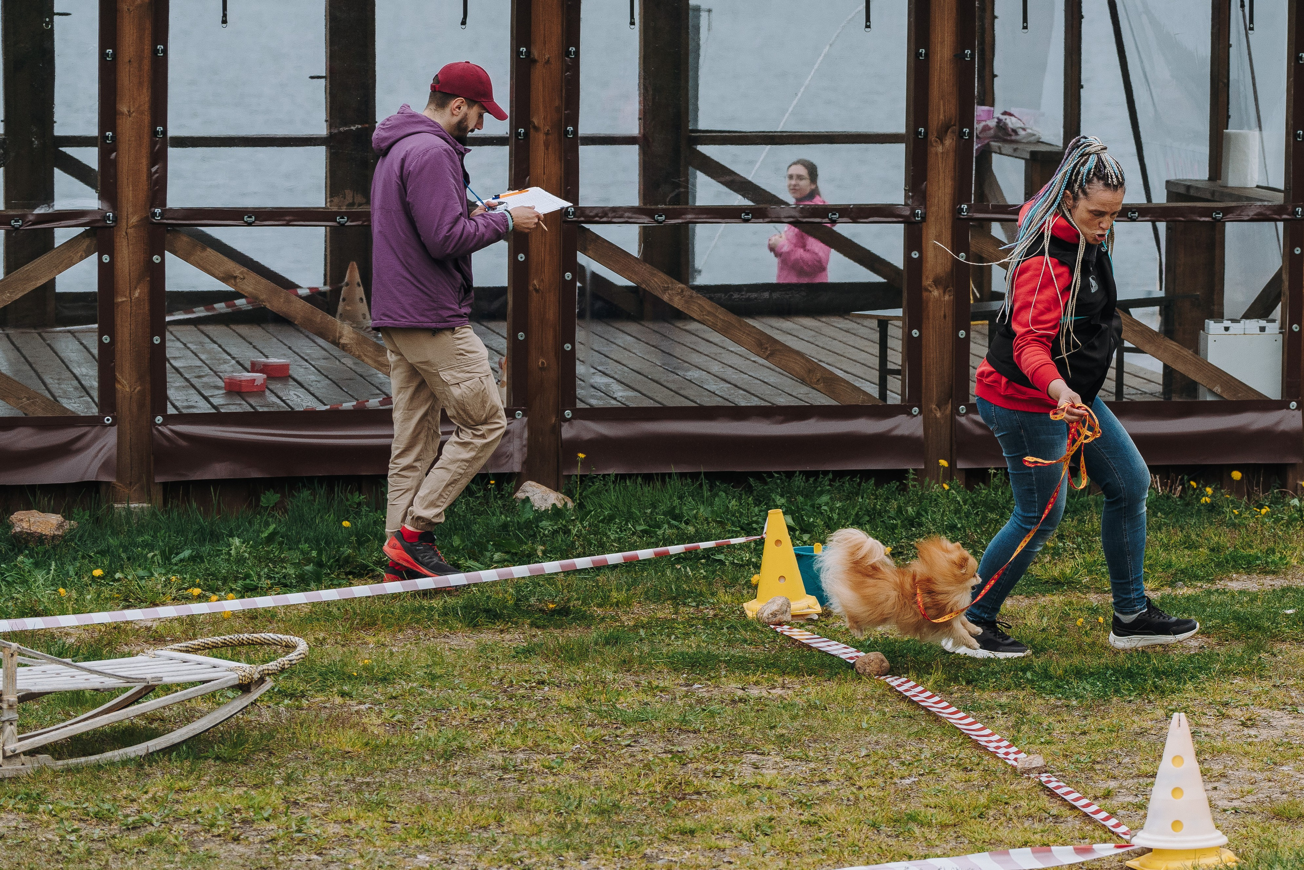 Соревнования по ноузворку в Лосево. Фотограф анималист в Спб недорого Олеся Майорова