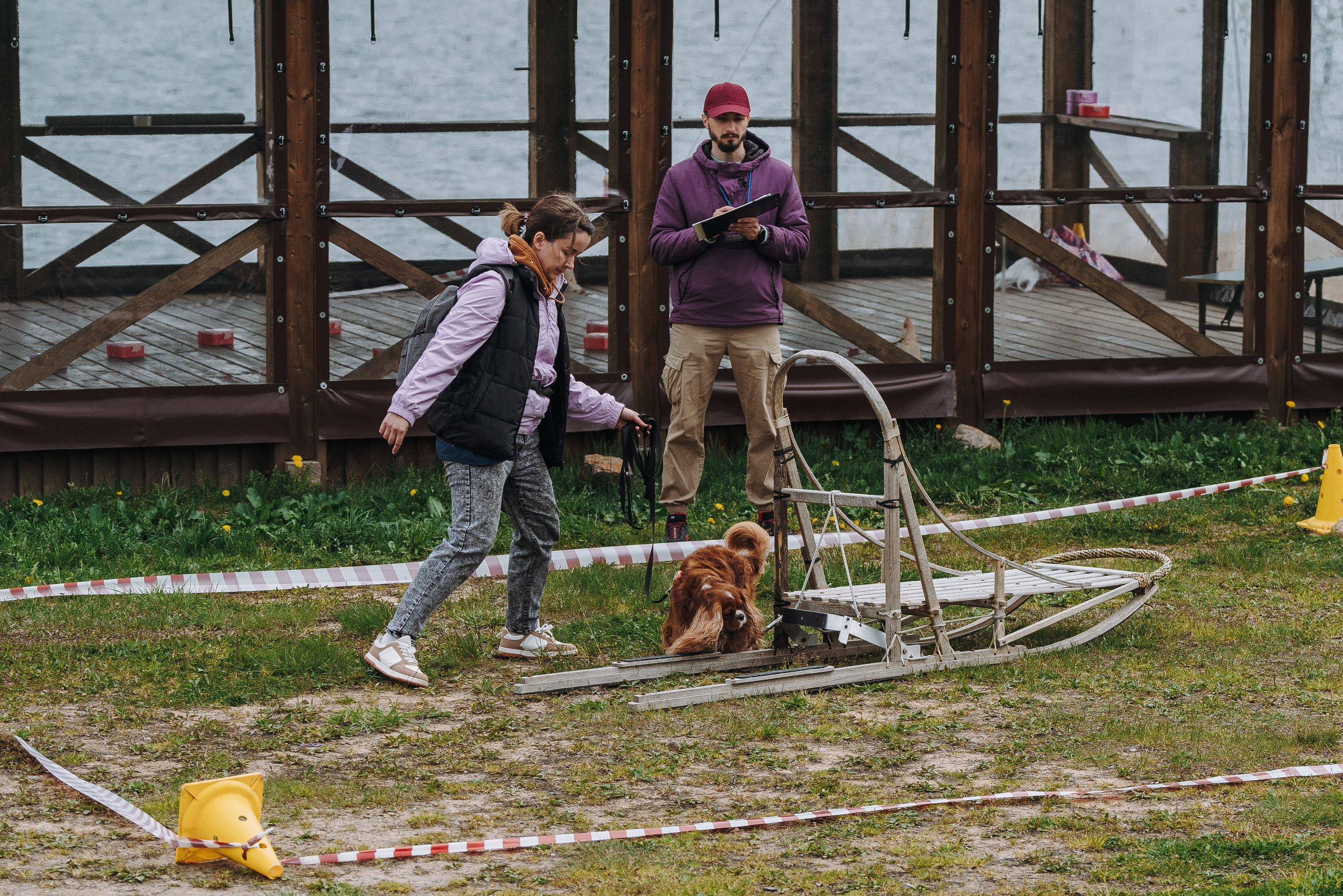 Соревнования по ноузворку в Лосево. Фотограф анималист в Спб недорого Олеся Майорова