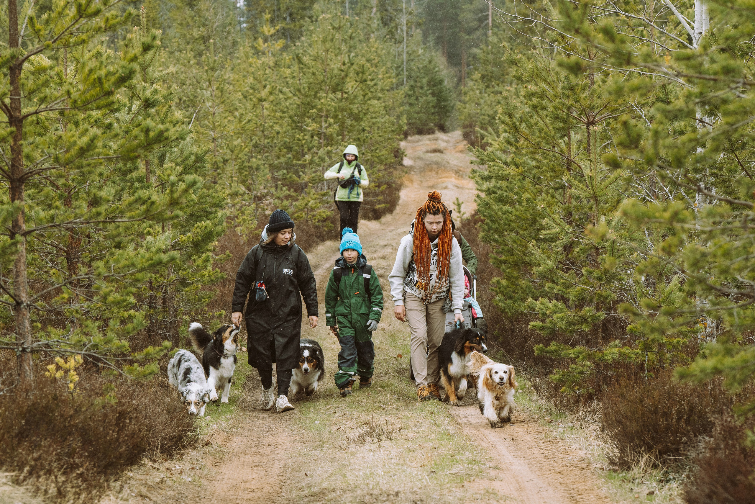 Дог трекинг к финскому хутору. Фотограф анималист в Спб недорого Олеся Майорова