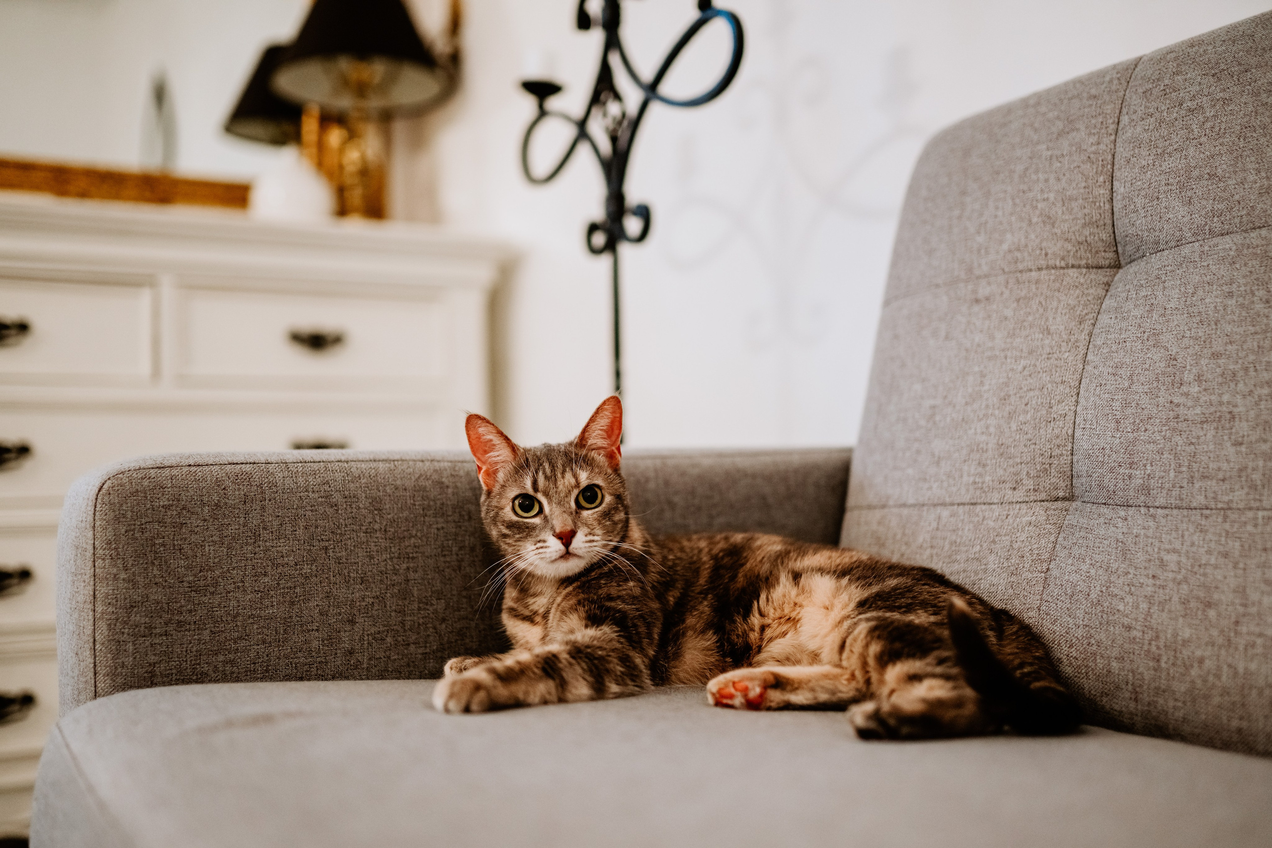 Натали и Иззи. Фотограф анималист в Спб недорого Олеся Майорова