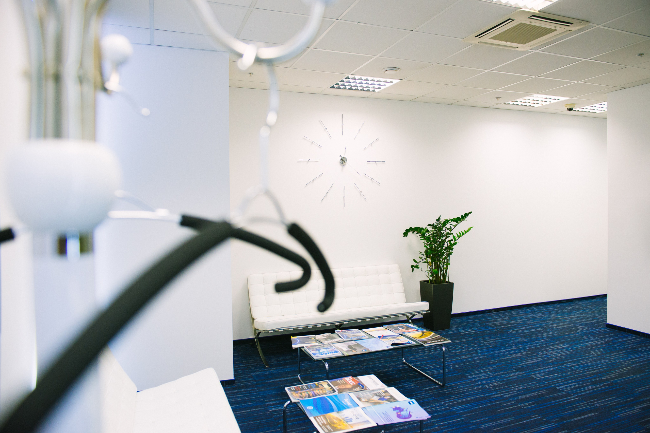 IBS. Фотограф Оля Батист