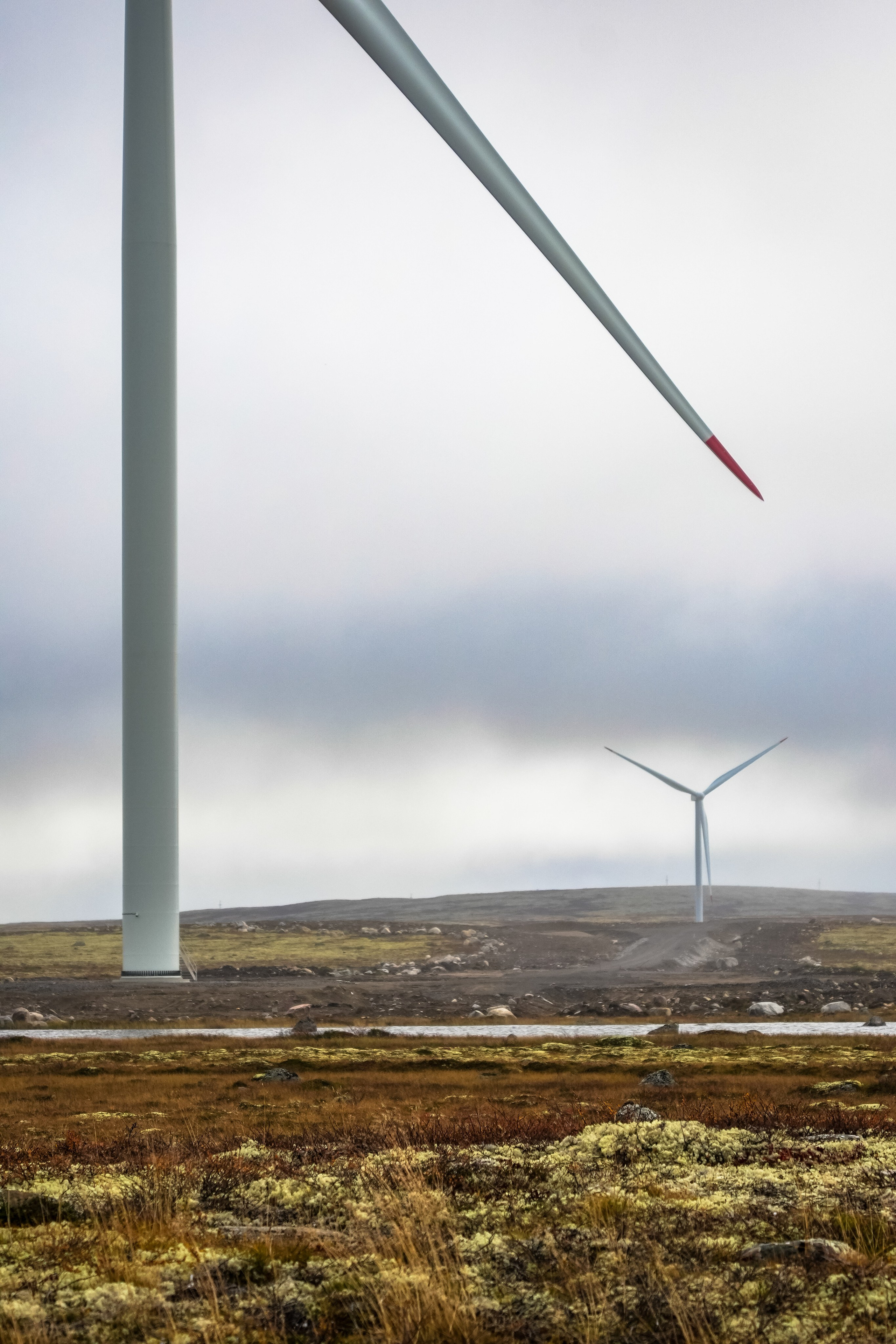 СЕВЕР. Event фотограф Степанова Александра