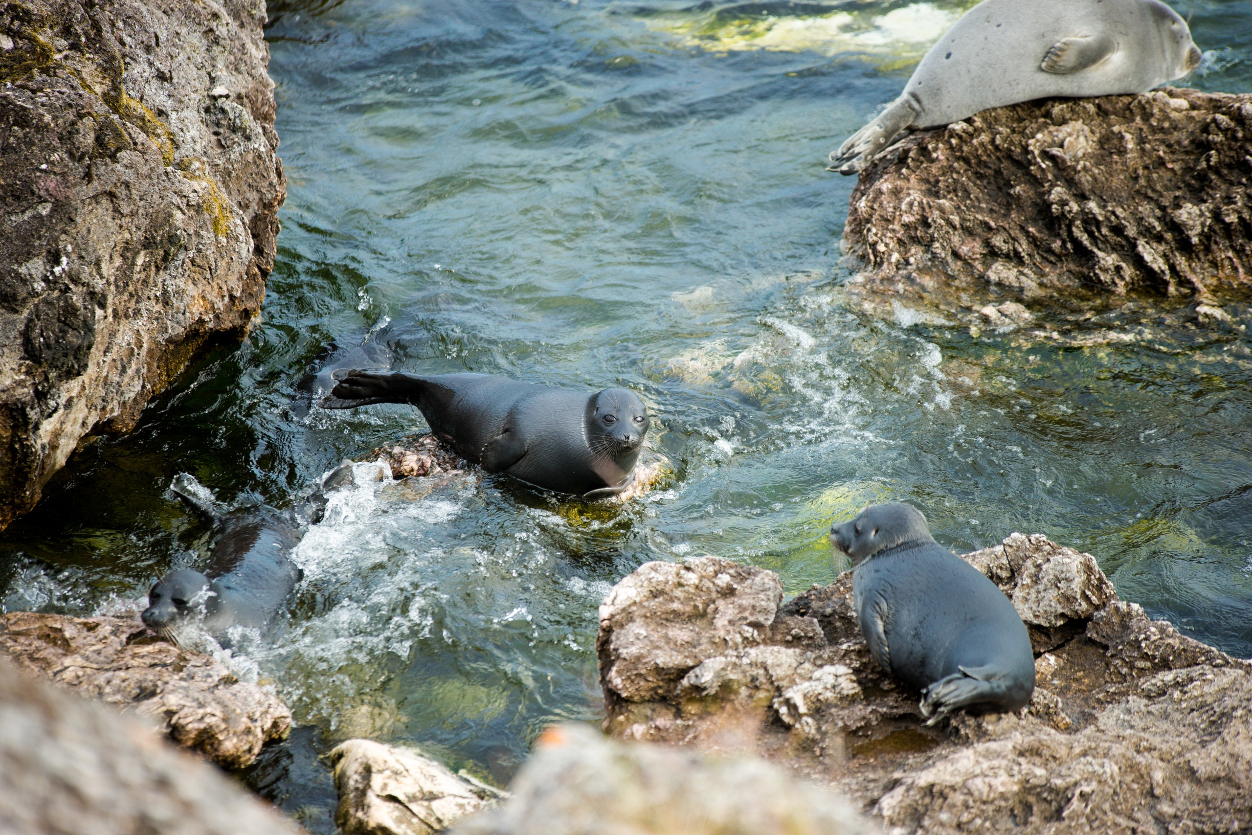 Фотографии озера Байкал. Петр Ступень. Свадебное, семейное фото и видео. Москва. Краснодар