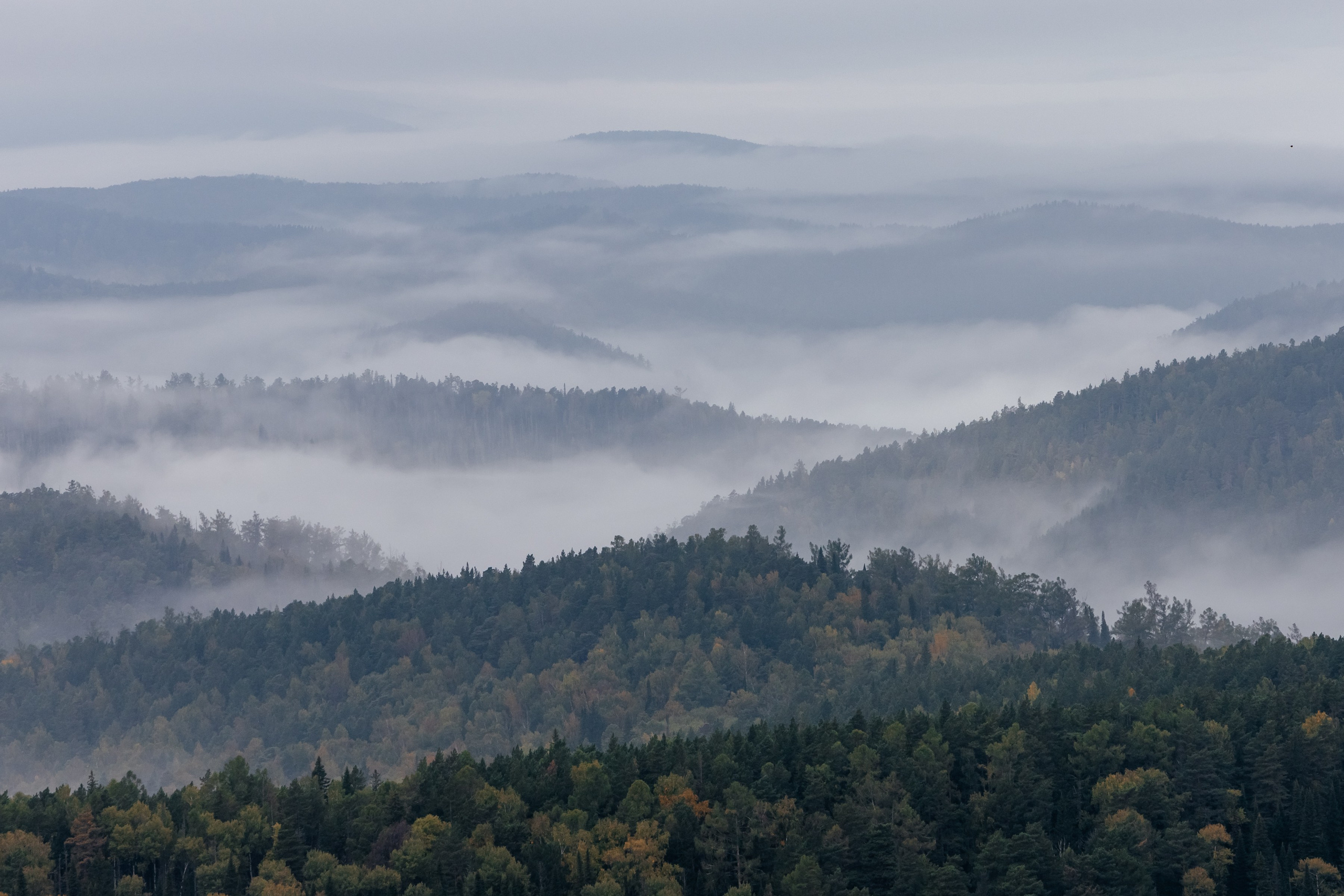 «Столбы». Фотограф в Красноярске Оксана Корчагина