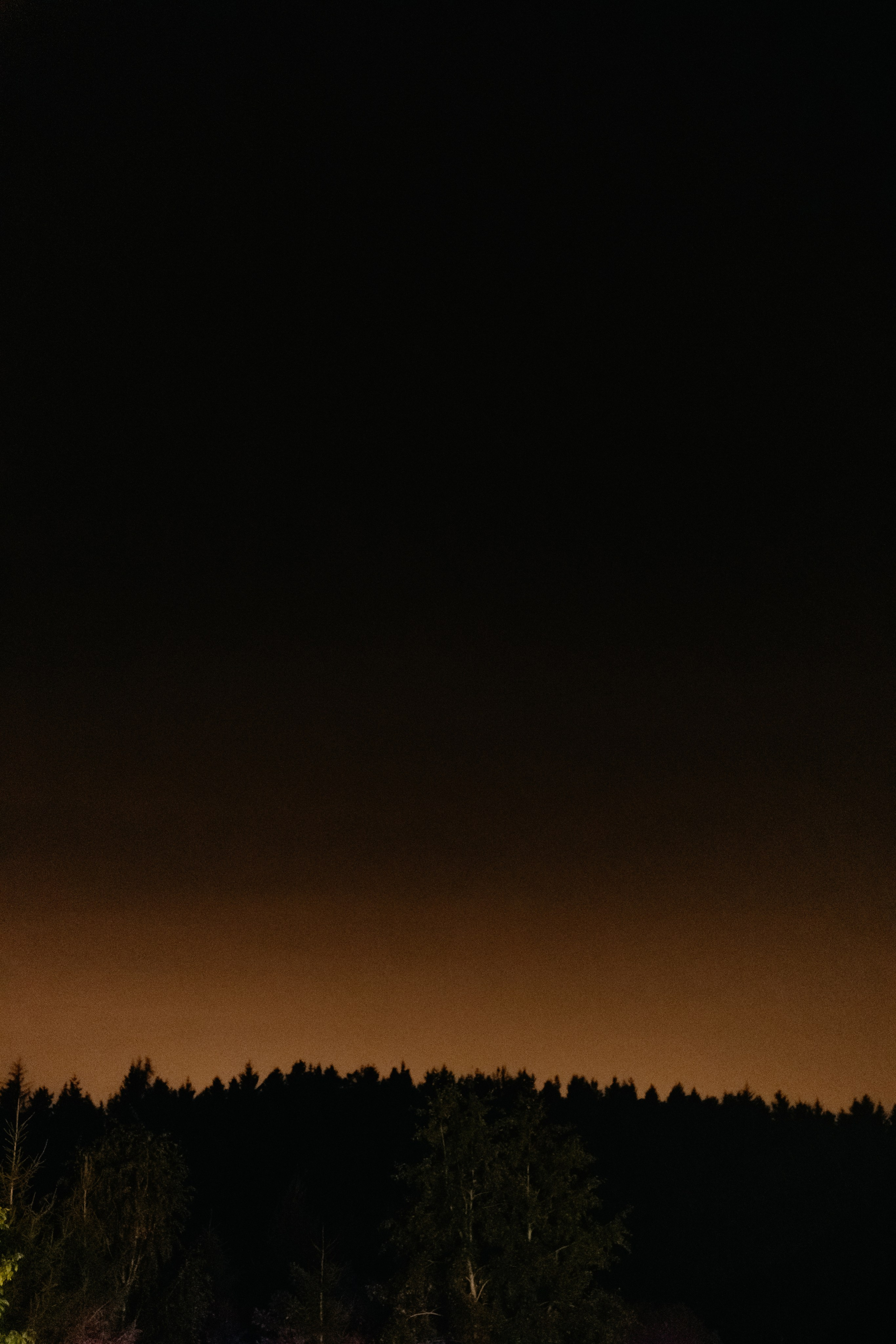 Павел и Дарья. Свадебный и портретный фотограф в Минске Татьяна Лобода