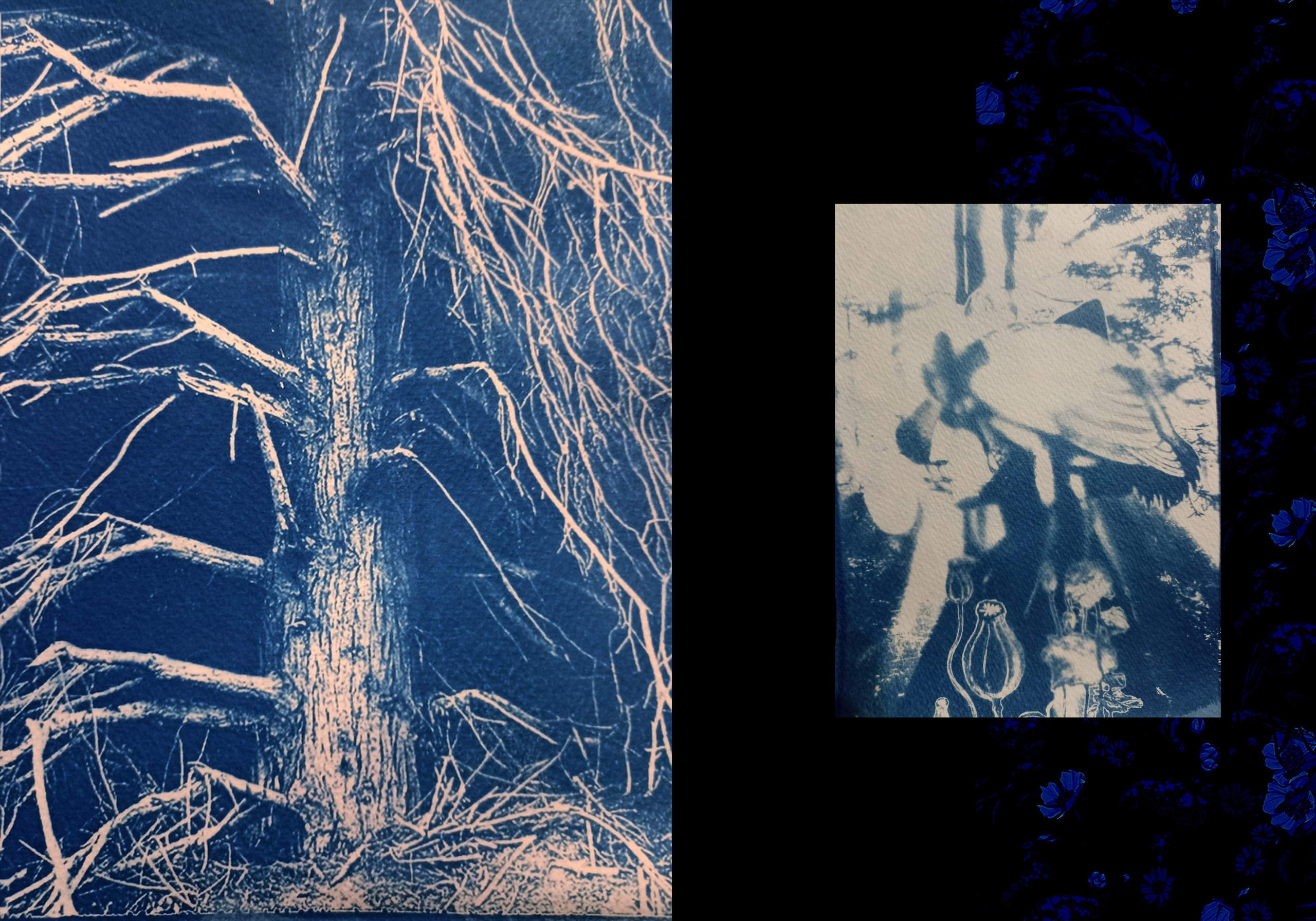 Ира Бринкус | Лес. Private image