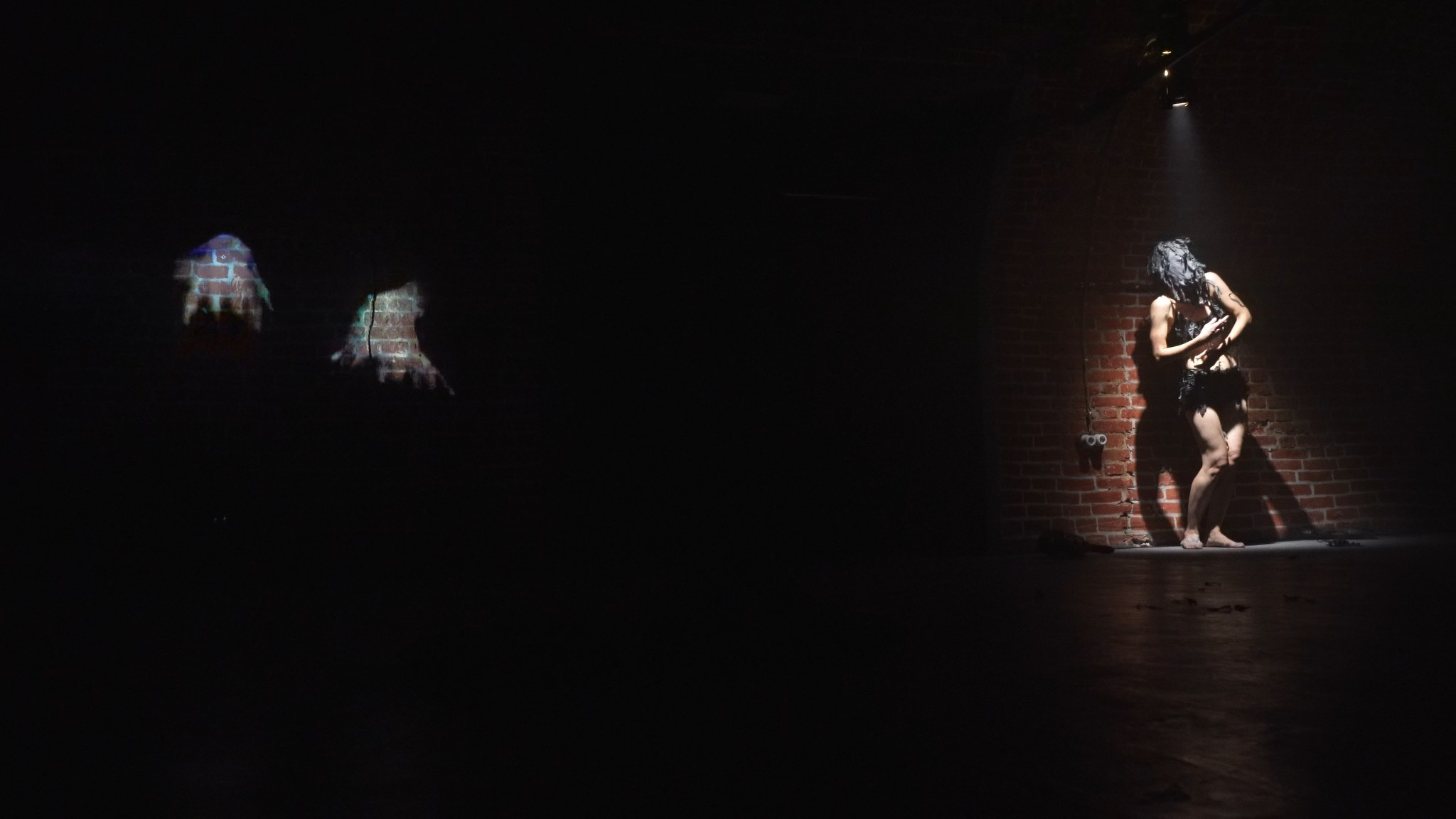 Красное дерево. Фото / Видеосъемка в Москве