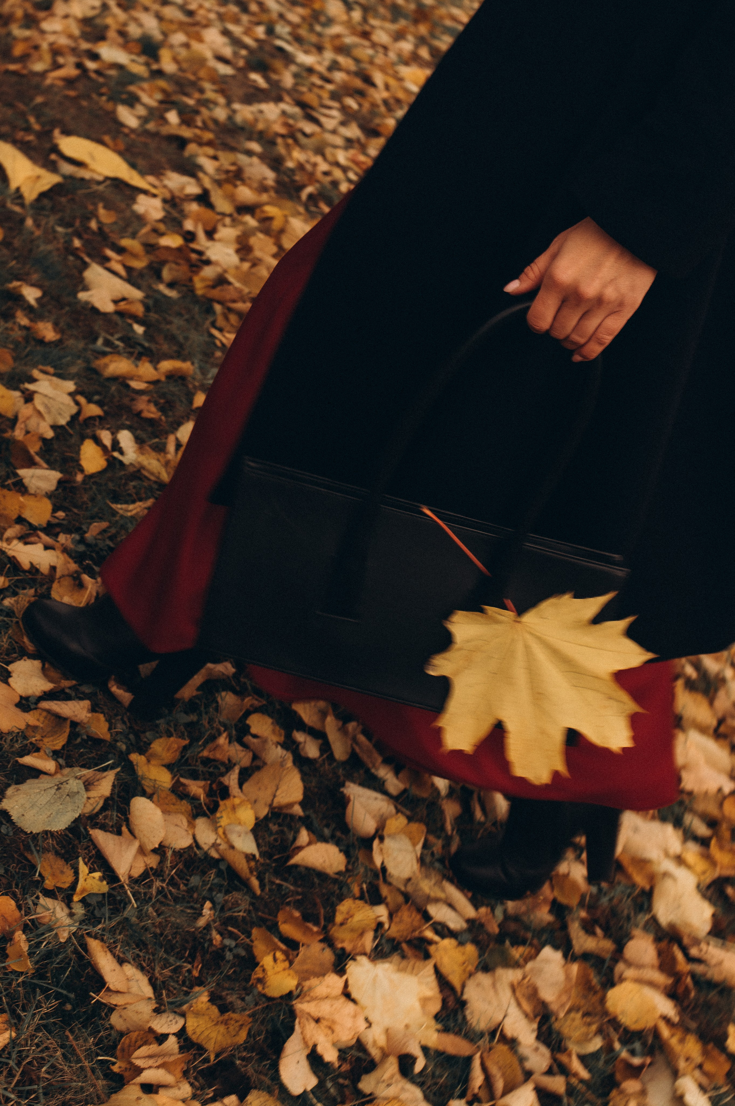 Осенняя индивидуальная фотопрогулка летний сад. Фотограф ПИТЕР СПБ Надежда Баранова