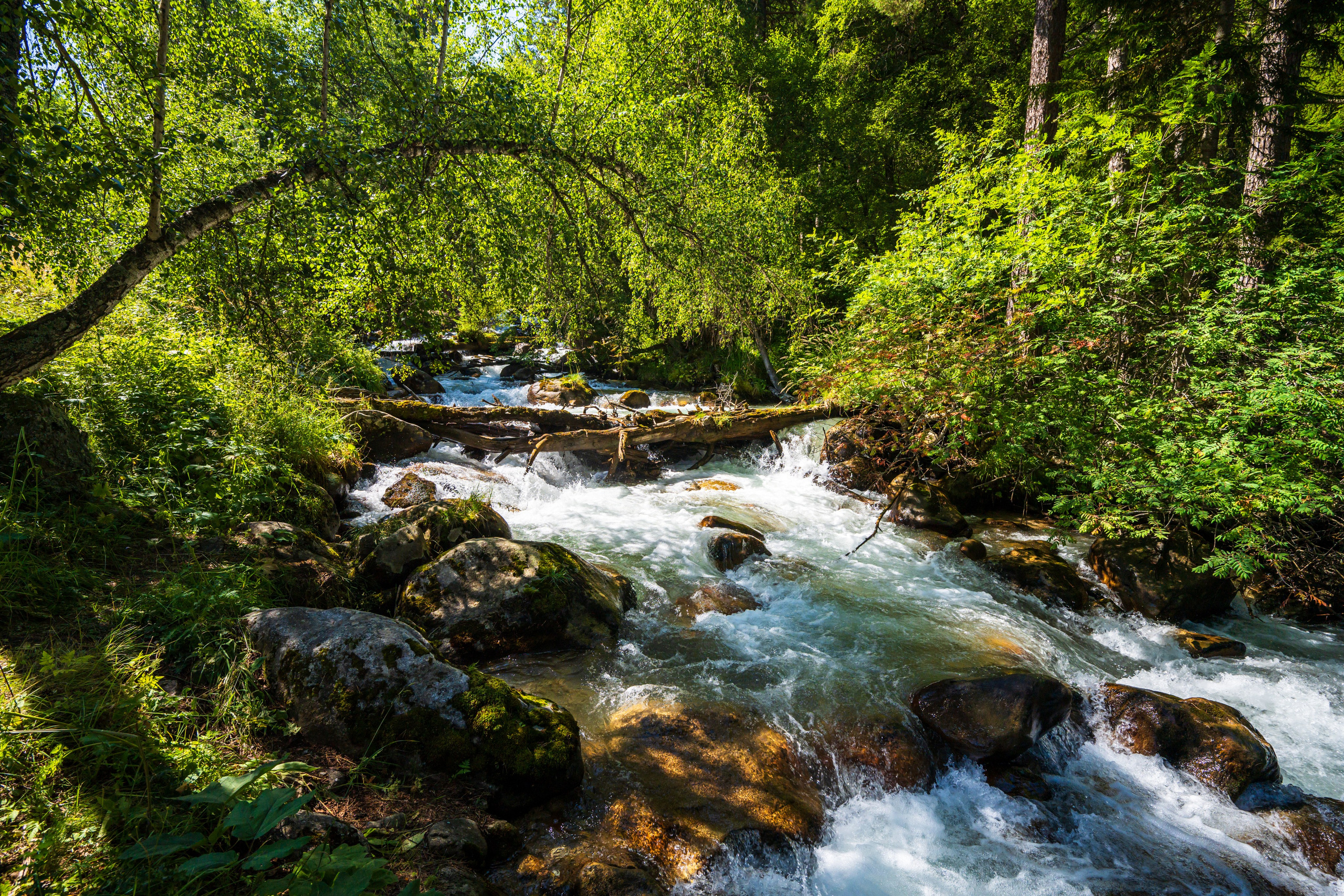 Экспедиция 2025