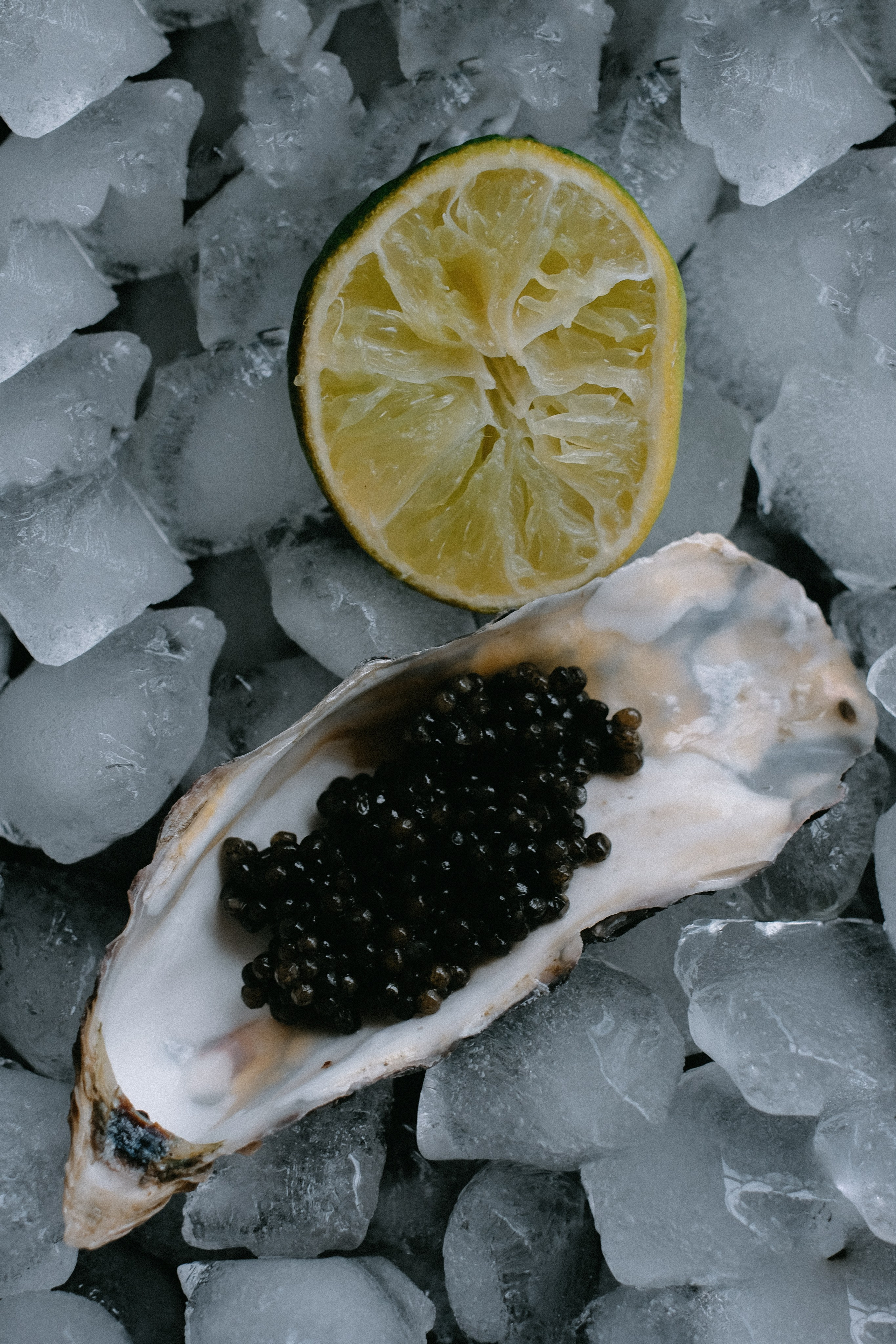 Икра. ФОТОГРАФ АННА КАЗАРЯН