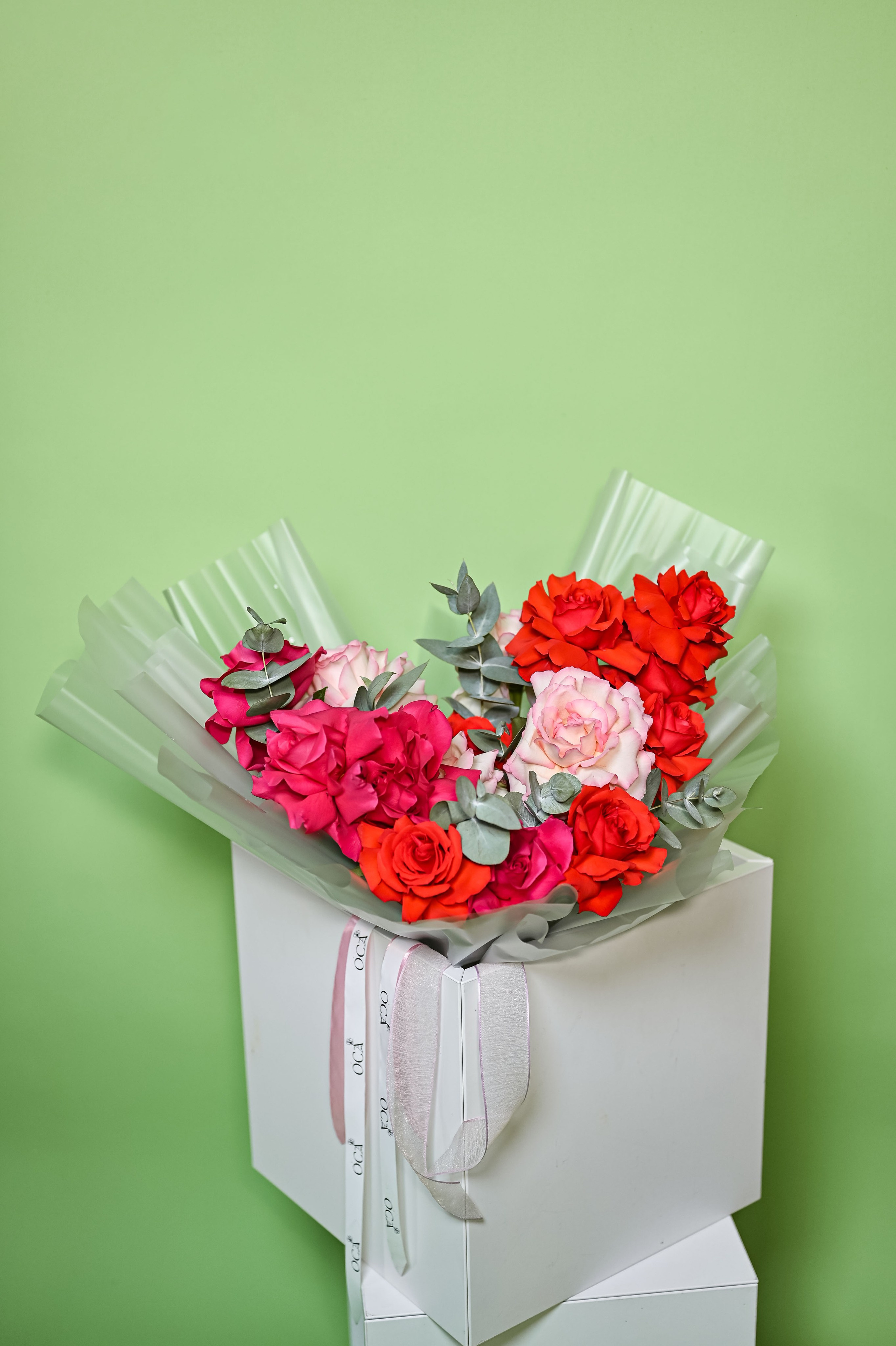 . ZDARONOKIA Репортажный фотограф