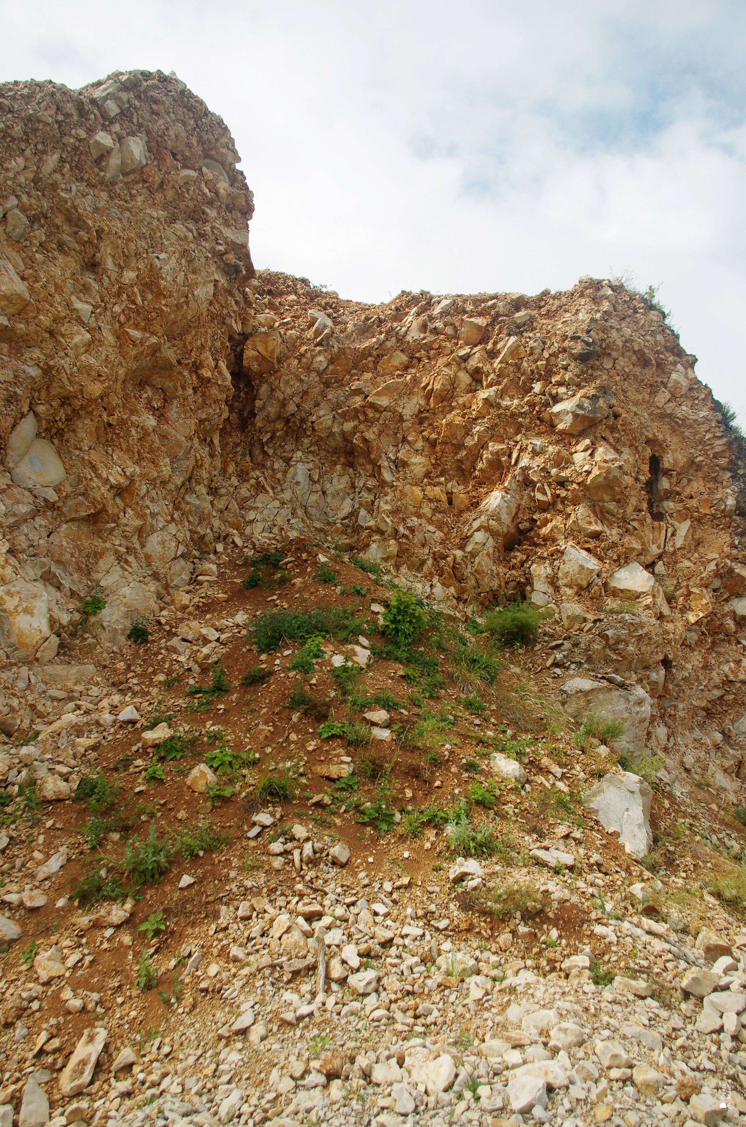 Танцы в прекрасном Они. Портретный фотограф Денис Милютин