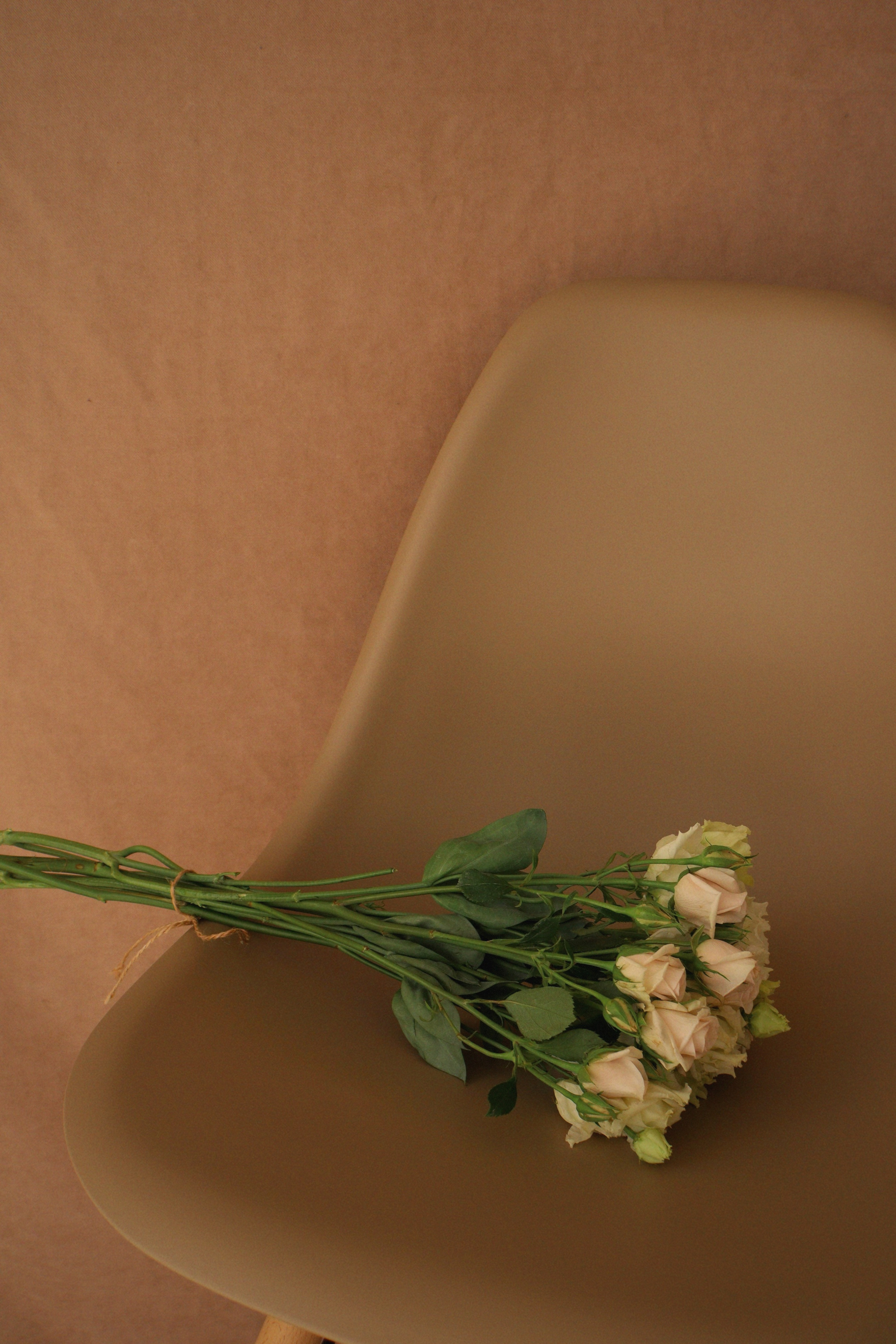 Валерия. Фотограф из Иркутска, Софья Домишкевич