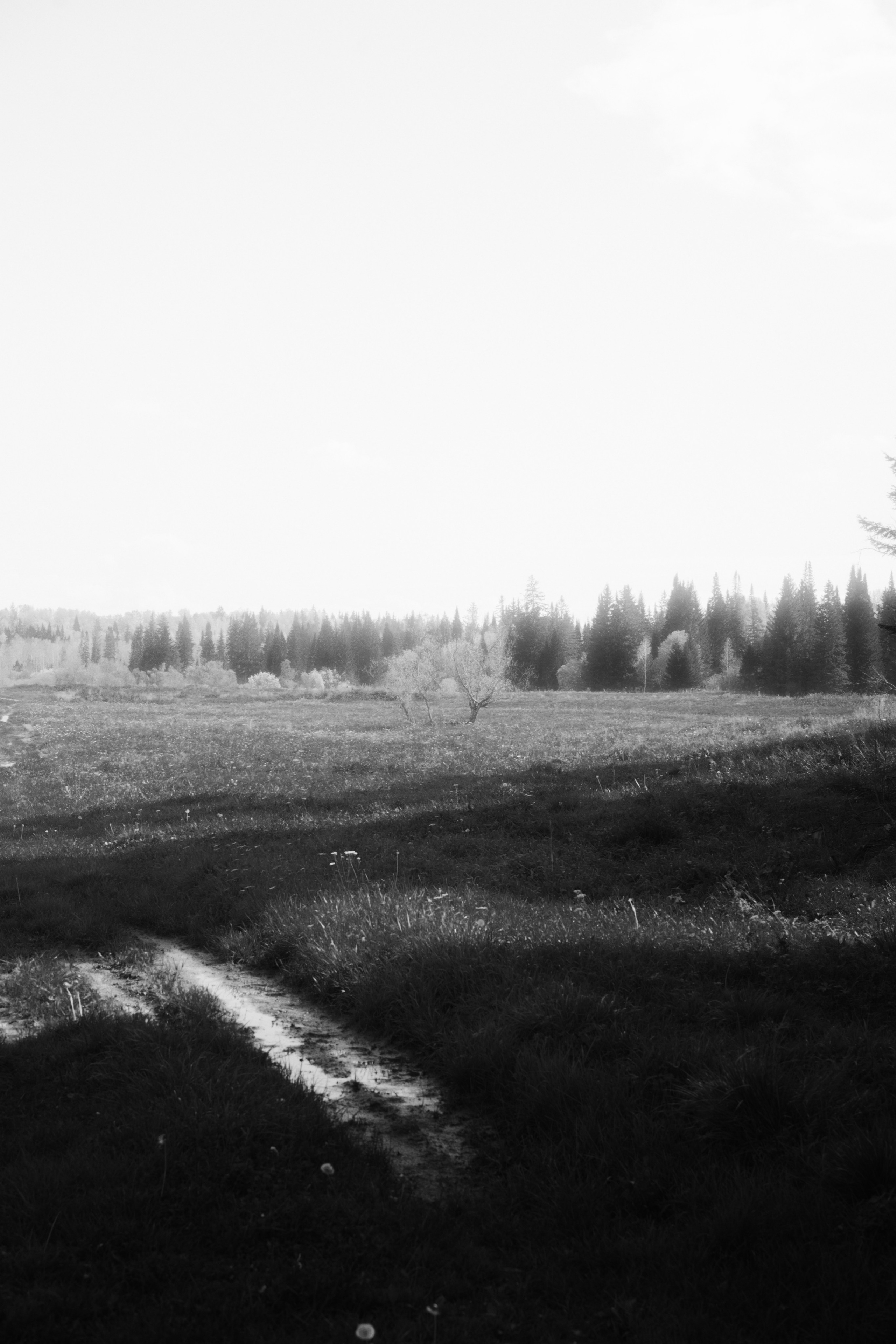 Ишим (Кемеровская область). Veronika Popadeikina Photographer