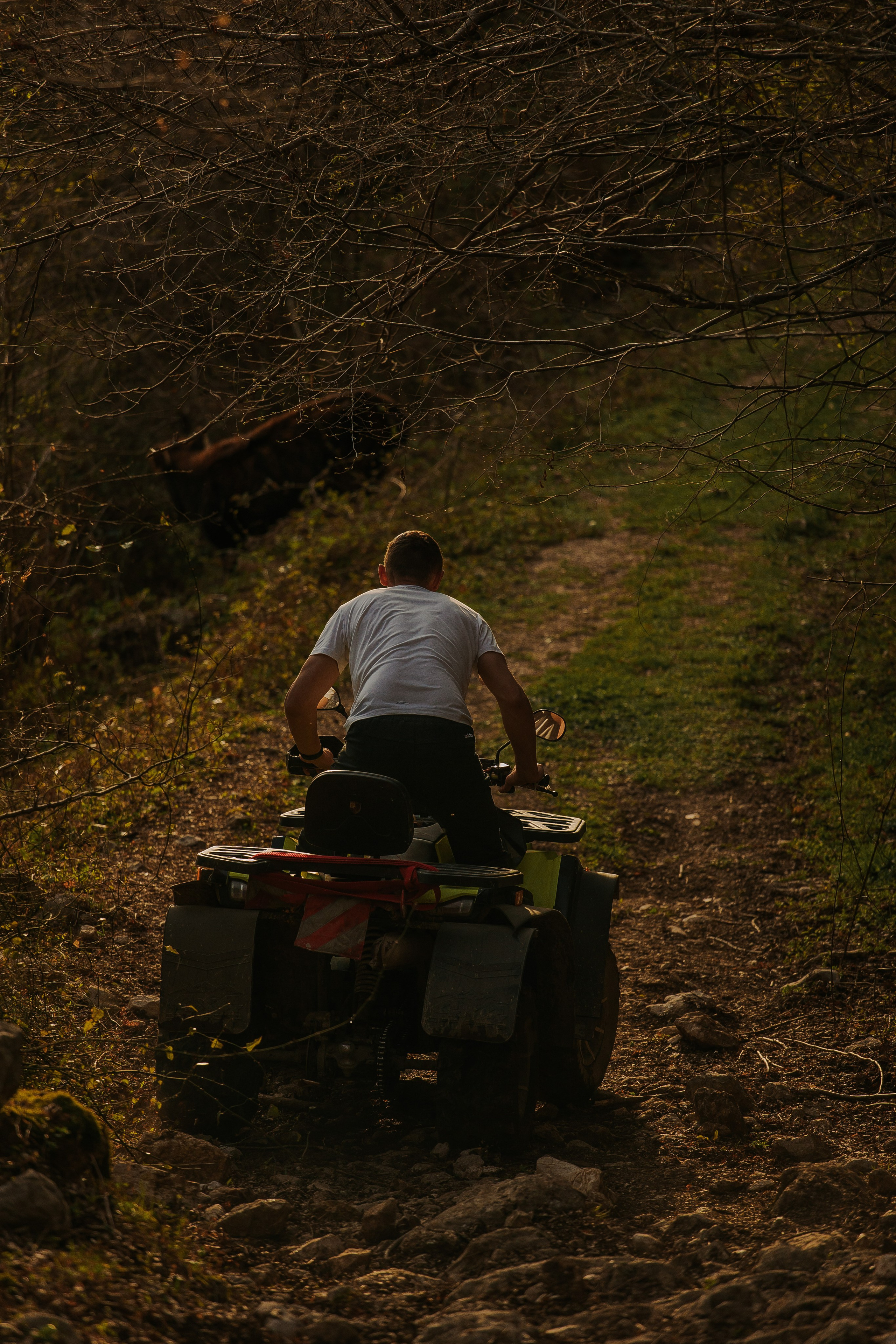 Квадроциклы. Фотограф в Санкт-Петербурге и Москве Макс Спектор