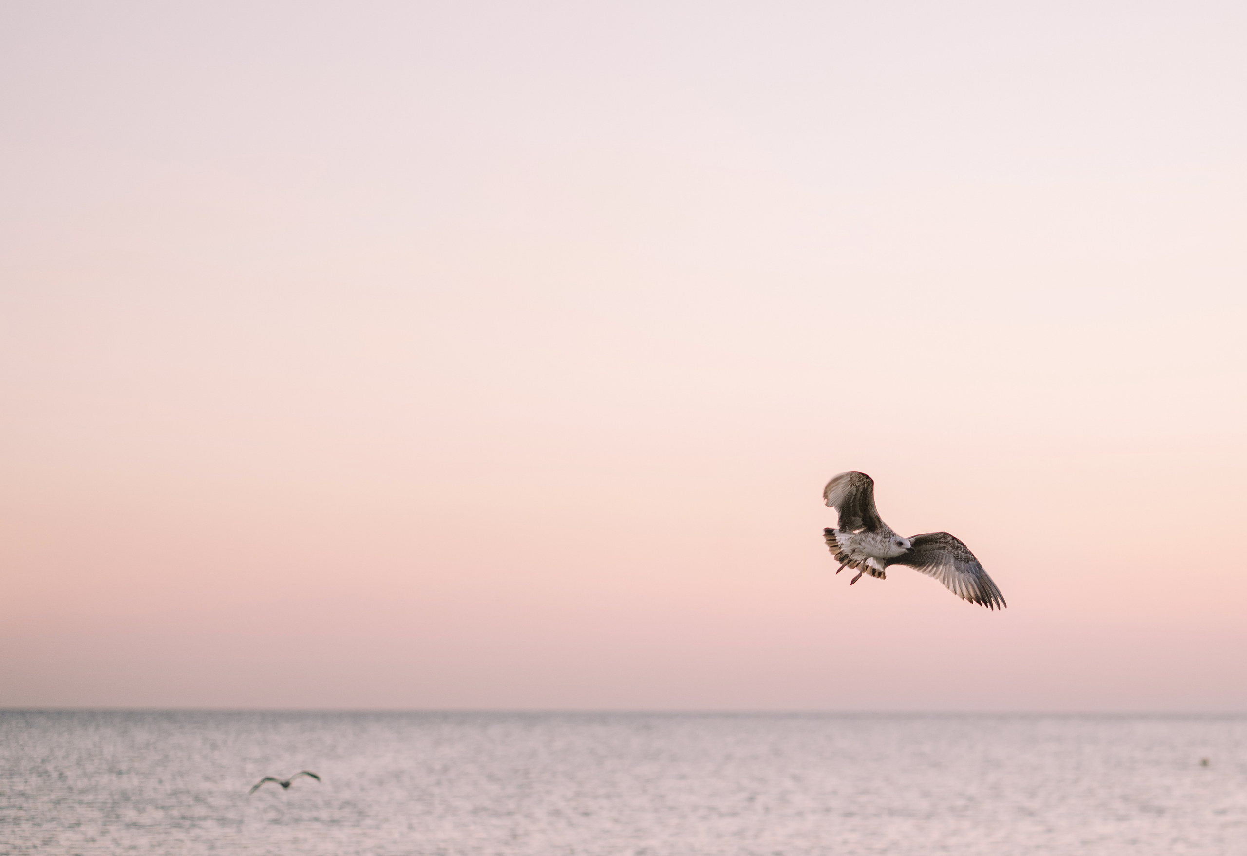 Море…. Свадебный и семейный фотограф в Анапе Елена Полетаева