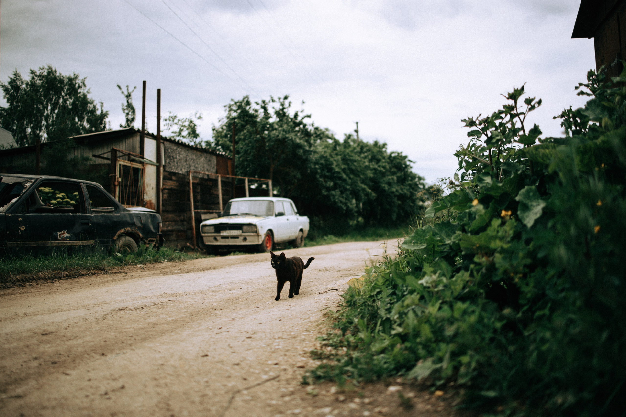 Прогулка по Криволучью. Свадебный и семейный фотограф в Туле и области Маша Костина