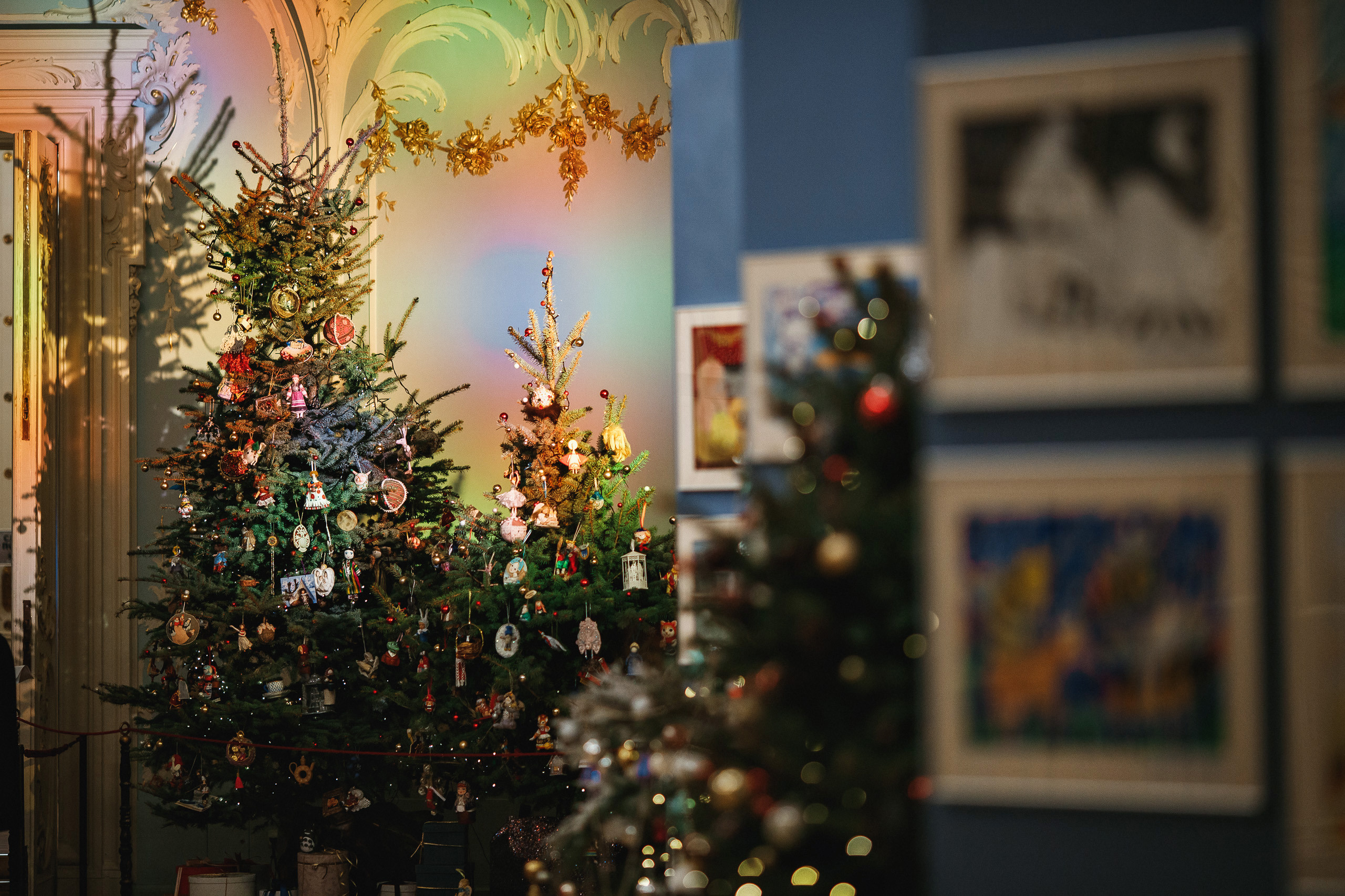 Ёлка мира — Эрмитаж. Репортажный фотограф в Санкт-Петербурге