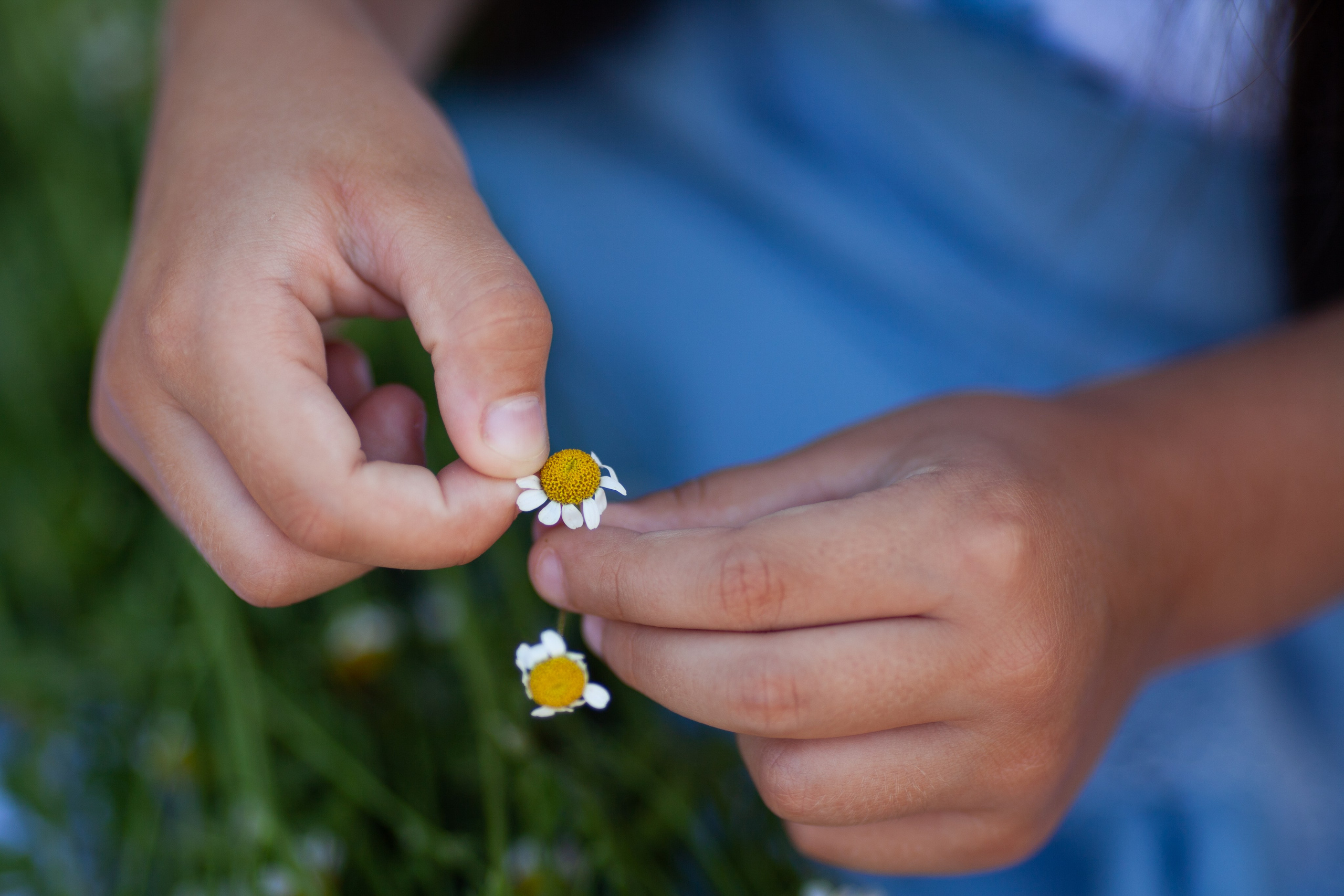 Семья. Семейный и детский фотограф в Краснодаре Брусилова Марина