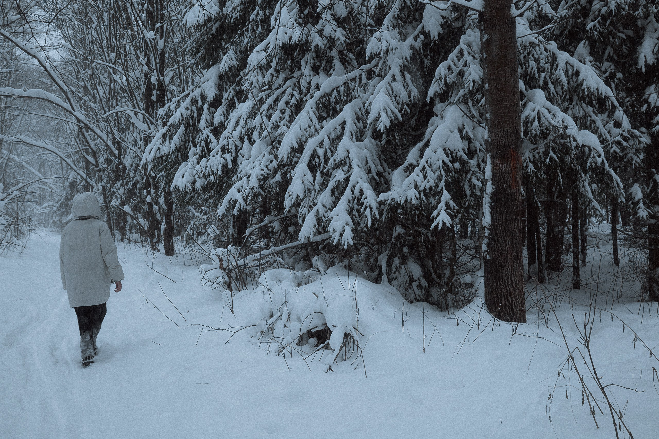 Диана. Леонид Рябов — фотограф в Нижнем Новгороде