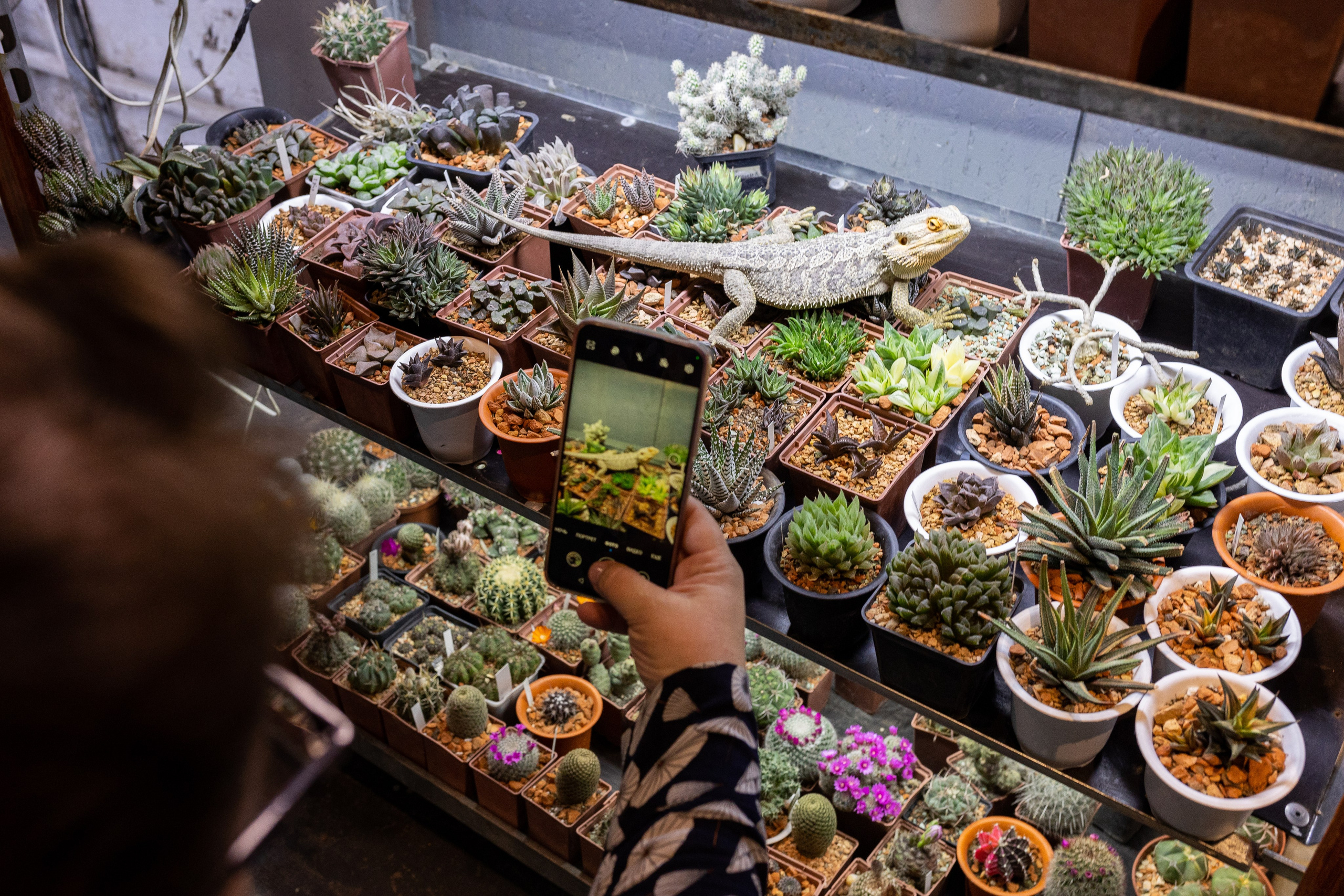 Meza market 2024. Александра Куликова фотограф, Москва