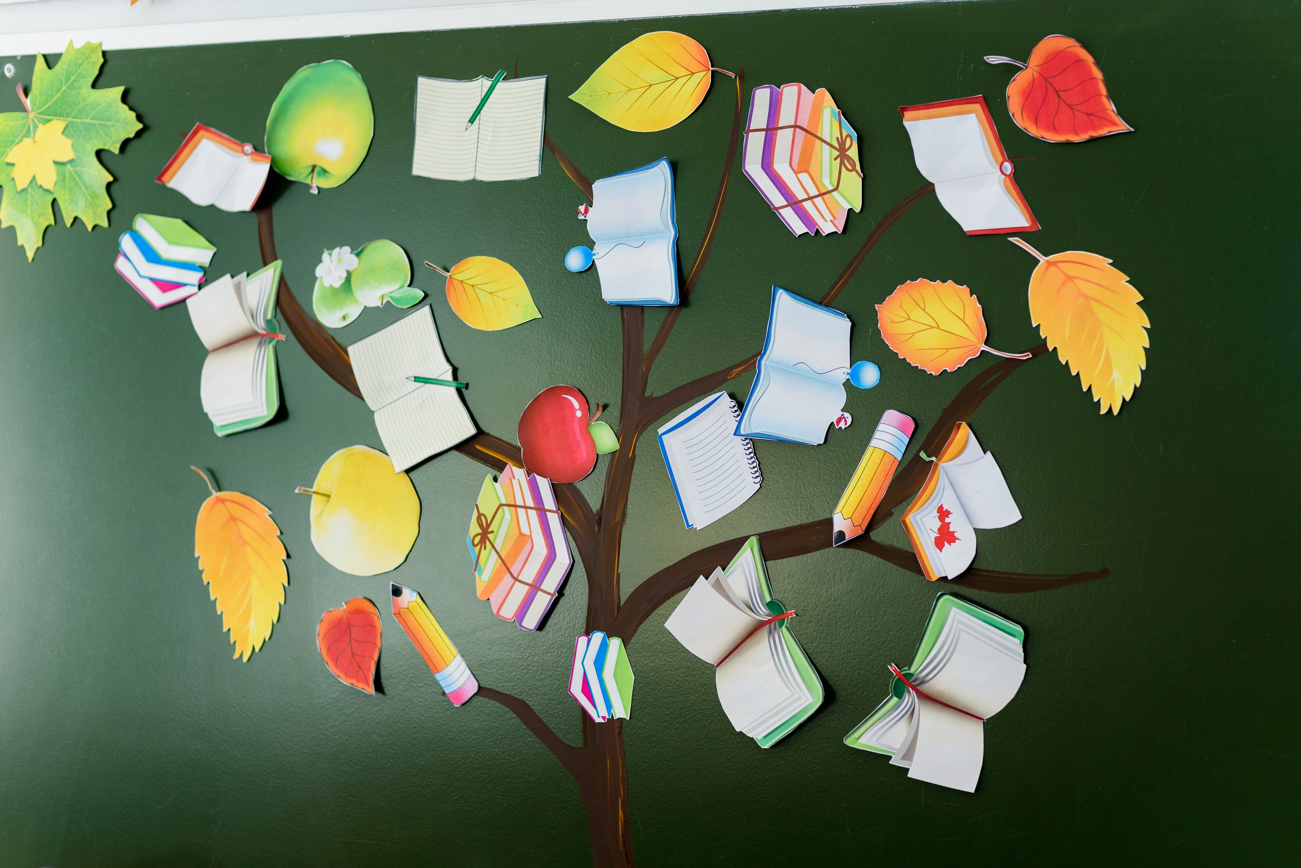 1-е сентября 2023. Фотограф Юлия Попова