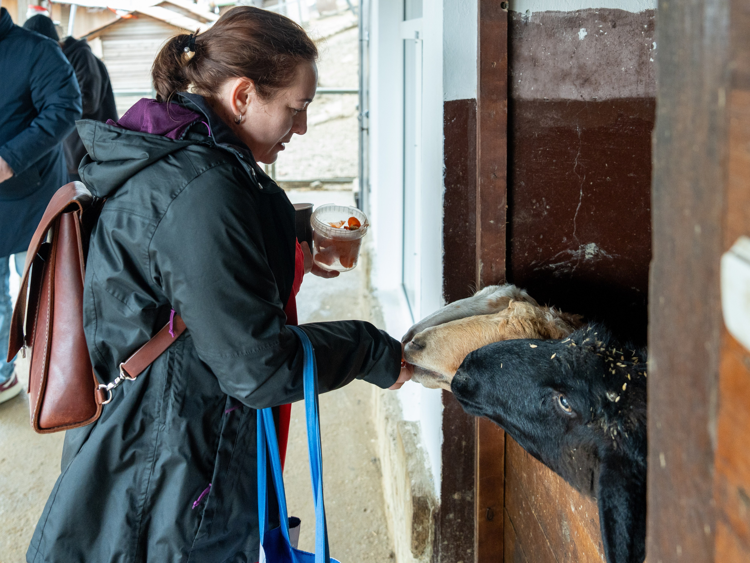 MICE мероприятие на ферме Экзархо. Репортажный фотограф в Красной Поляне и Сочи Павлюченко Екатерина