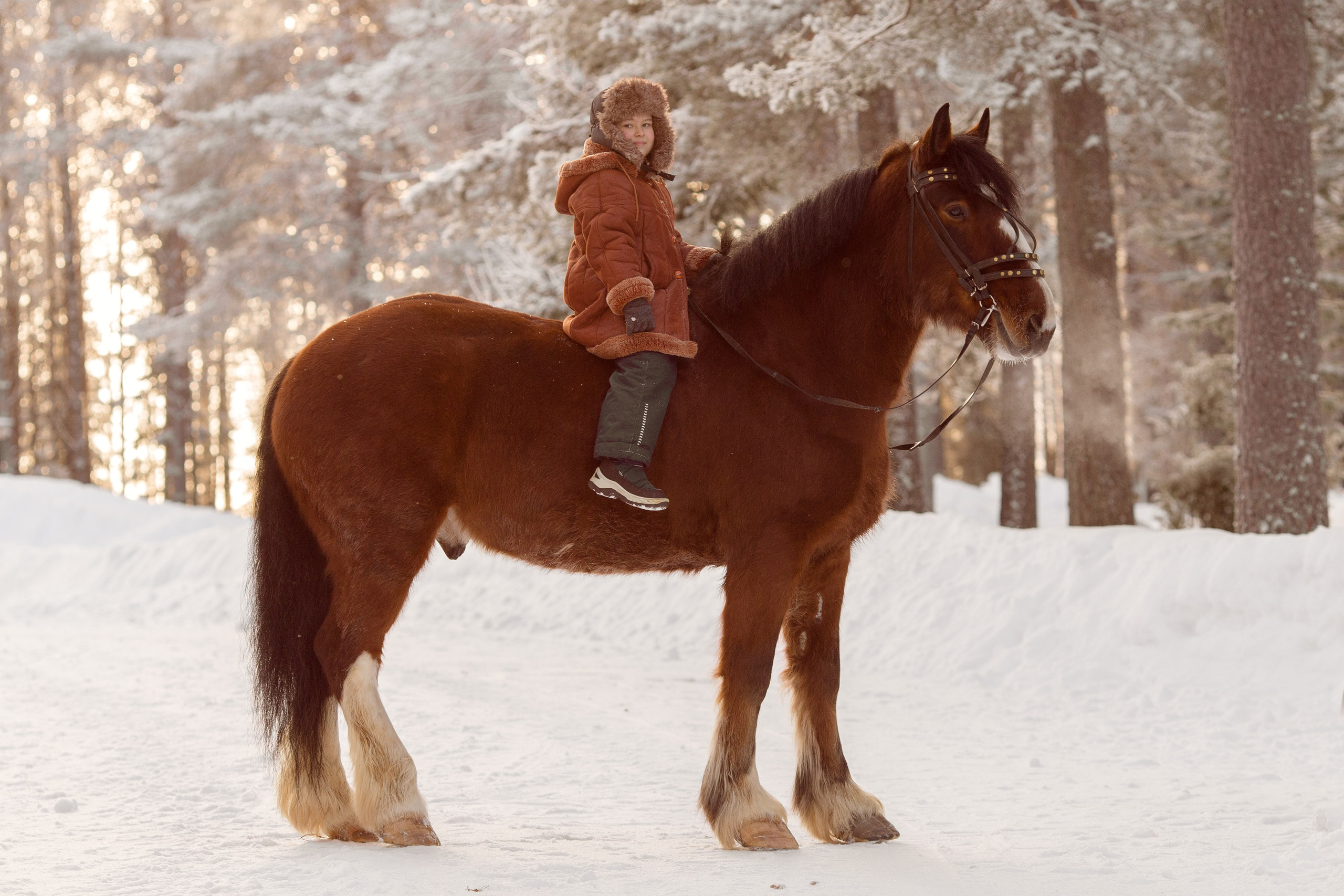 Детская фотосессия с лошадью зимой
