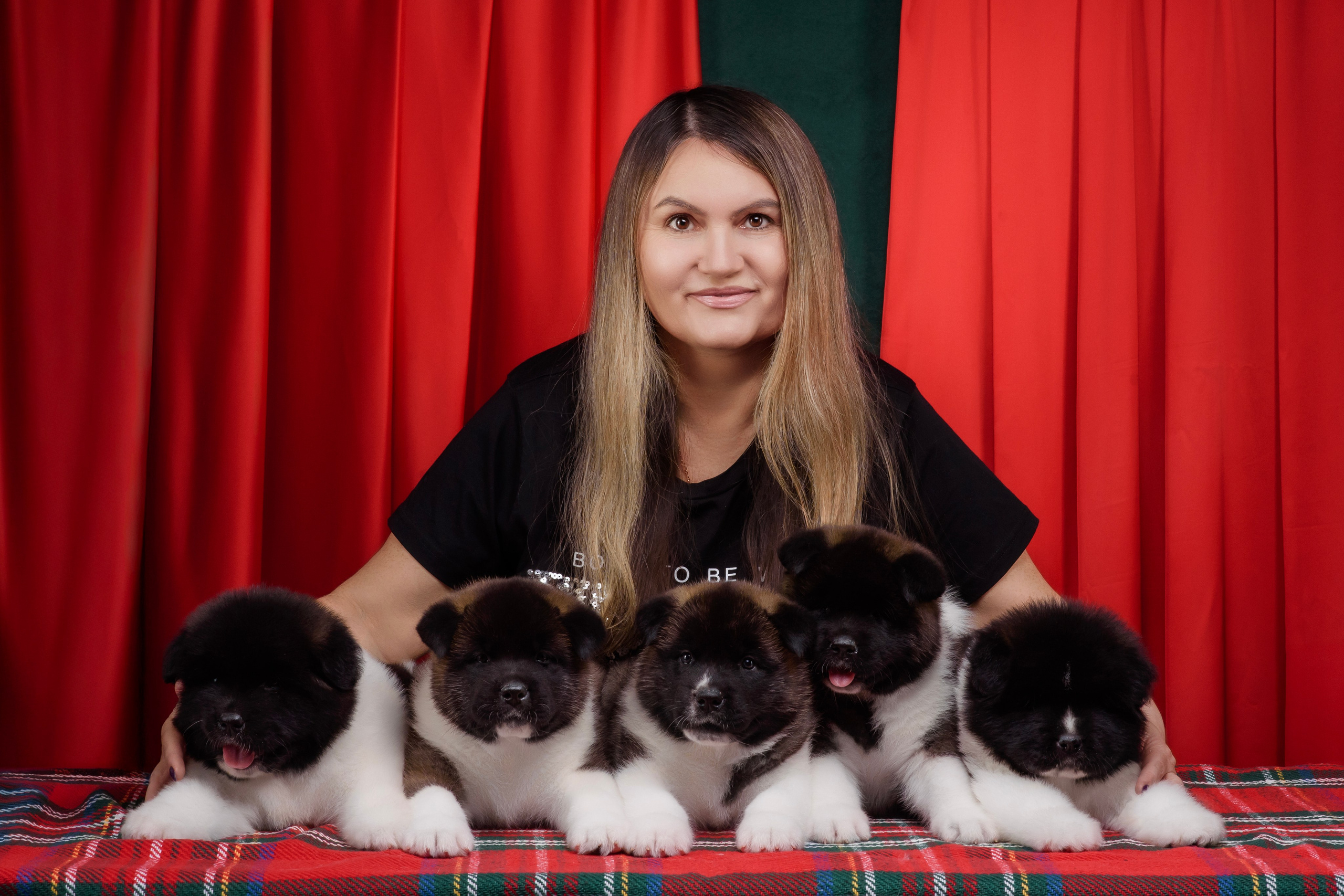 Щенки Американской Акиты. Фотограф — Анималист | Анна Абрамова