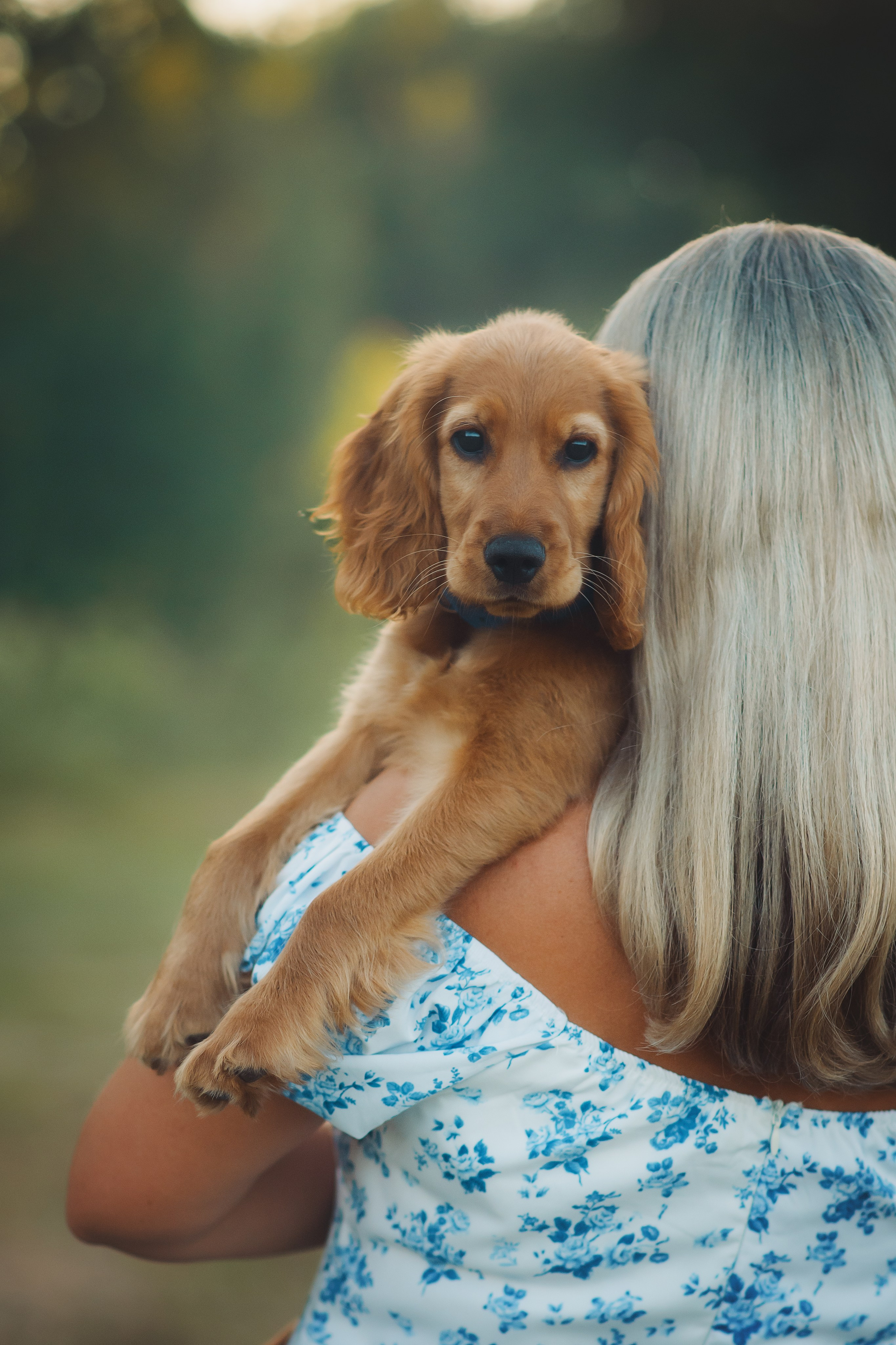 Наташа, Агата, Назар и Август — 17.07.2025. Фотограф — Анималист | Анна Абрамова