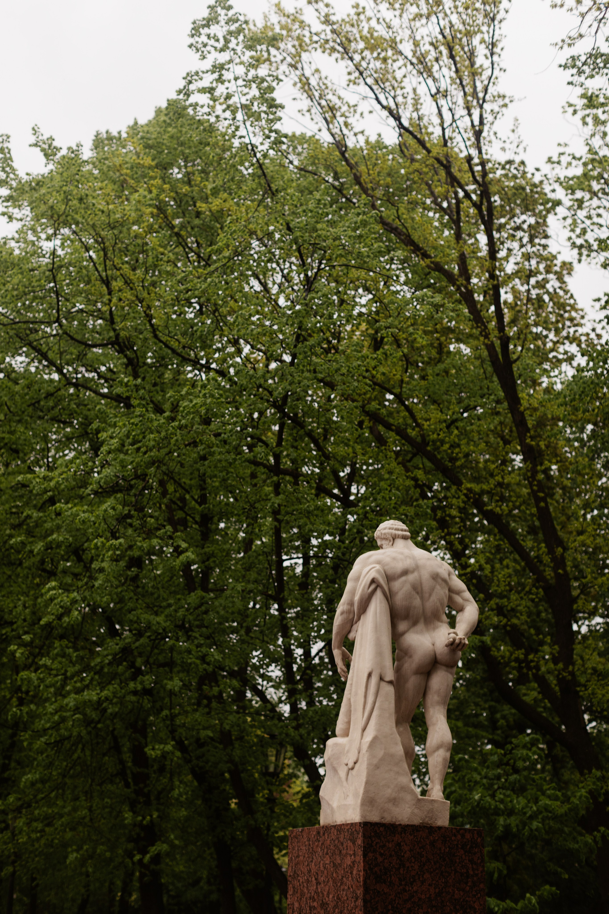 Георгий и Яна. Свадебный и портретный фотограф