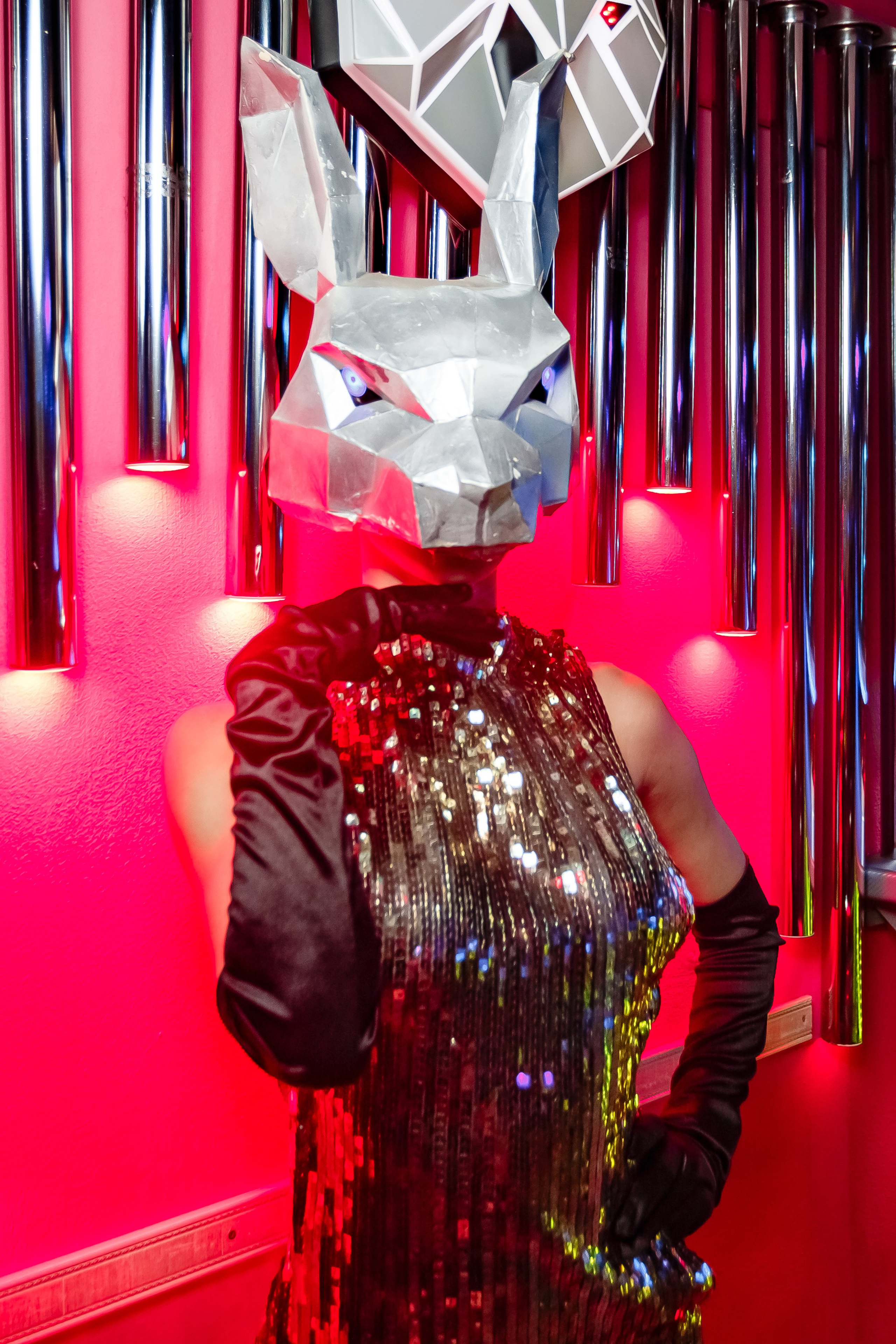 6 лет! С днём рождения «Sova»_Симферополь_15.11.2024. Аминов Руслан | Фотограф